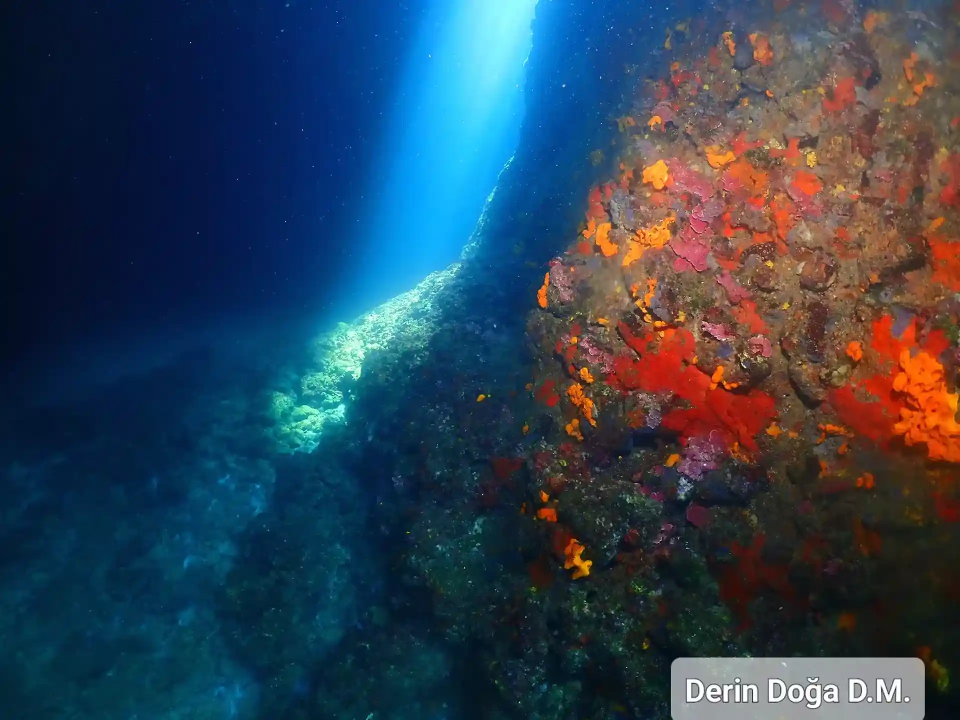 Foto del sitio de buceo