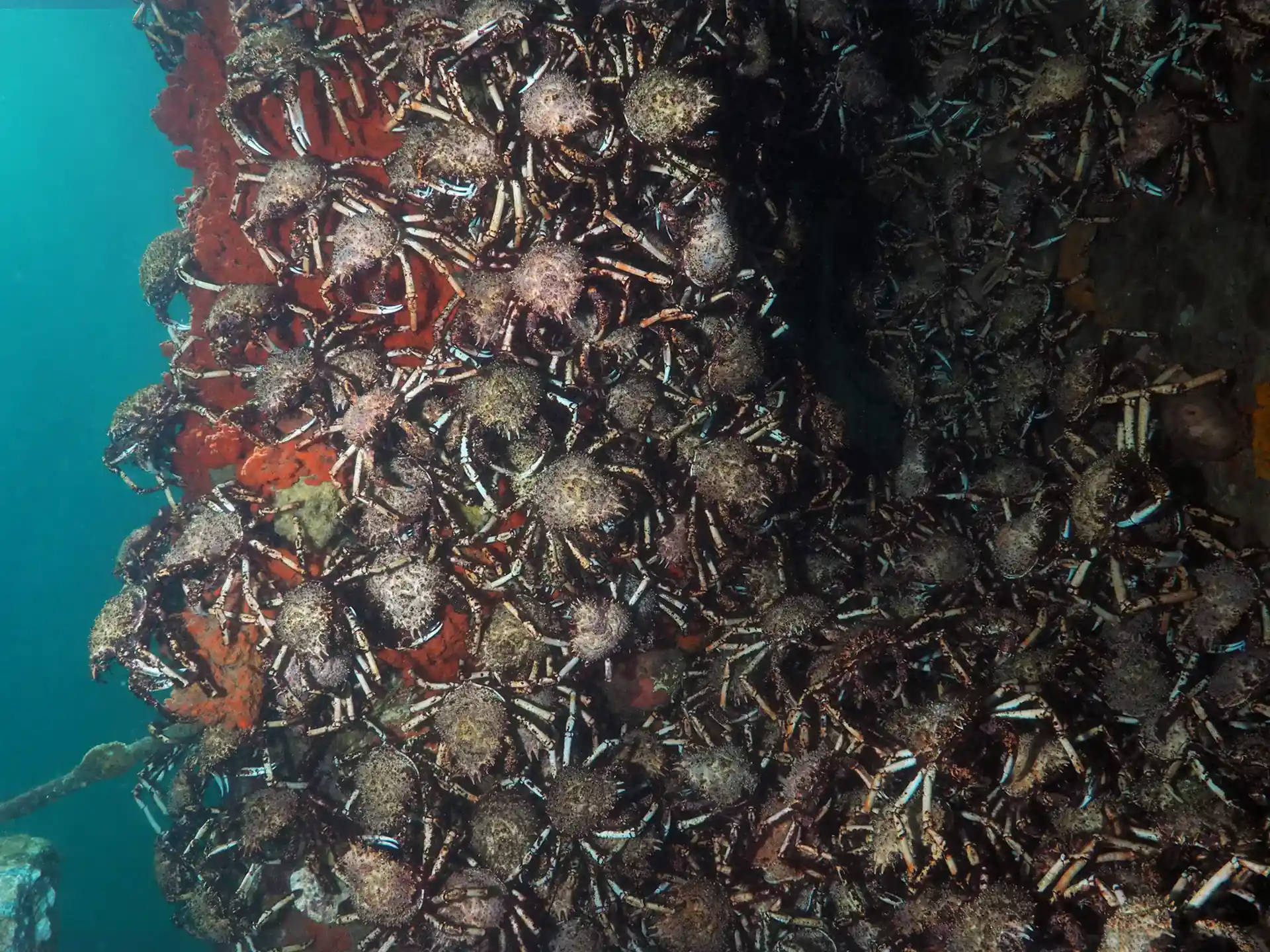 Photo du site de plongée