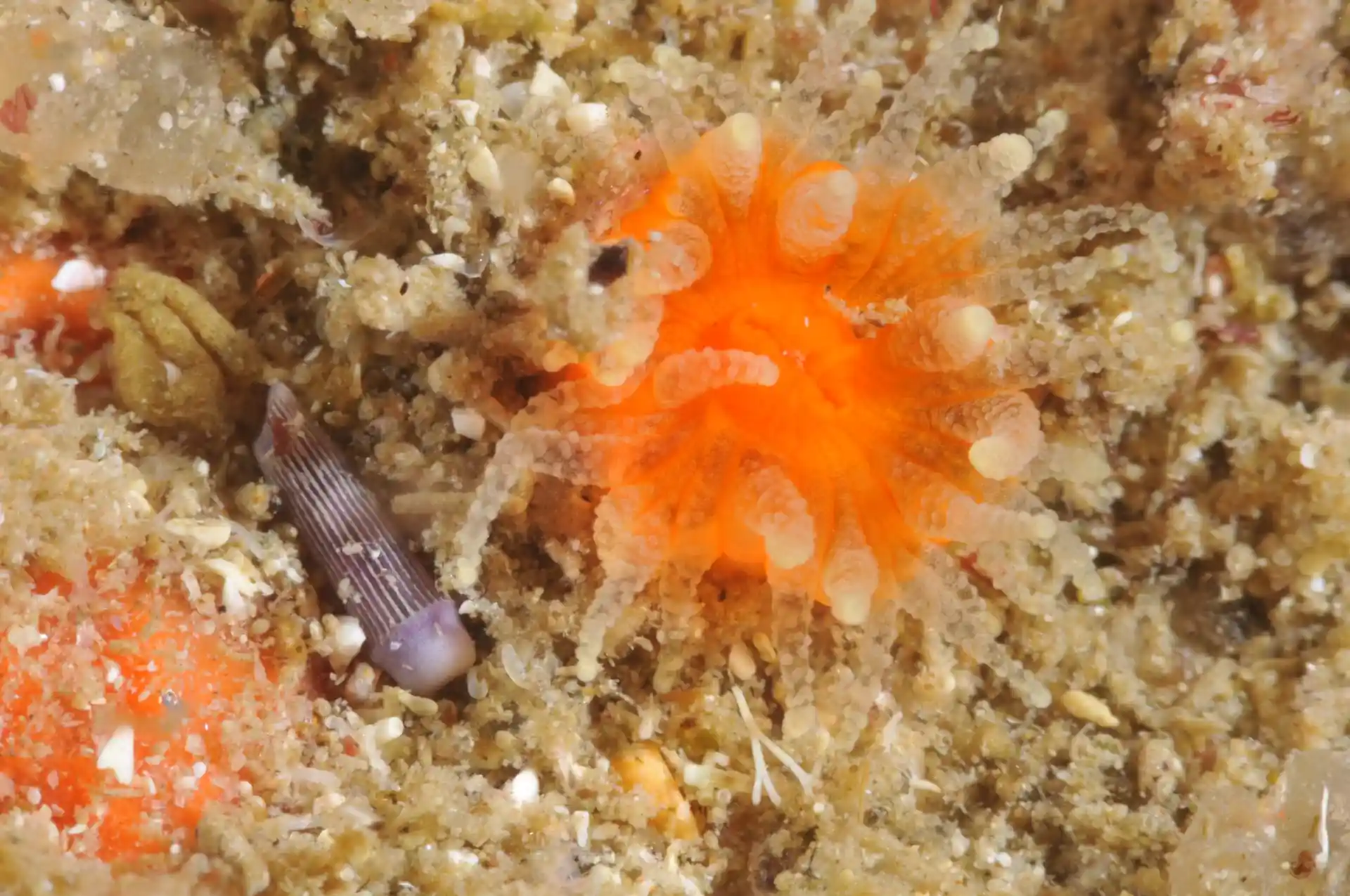 Dive site photo