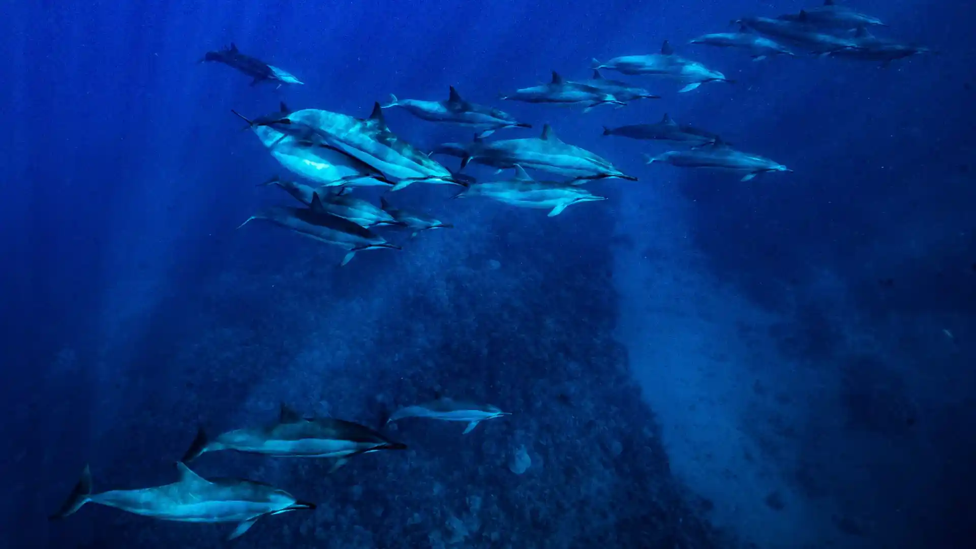 Dive site photo