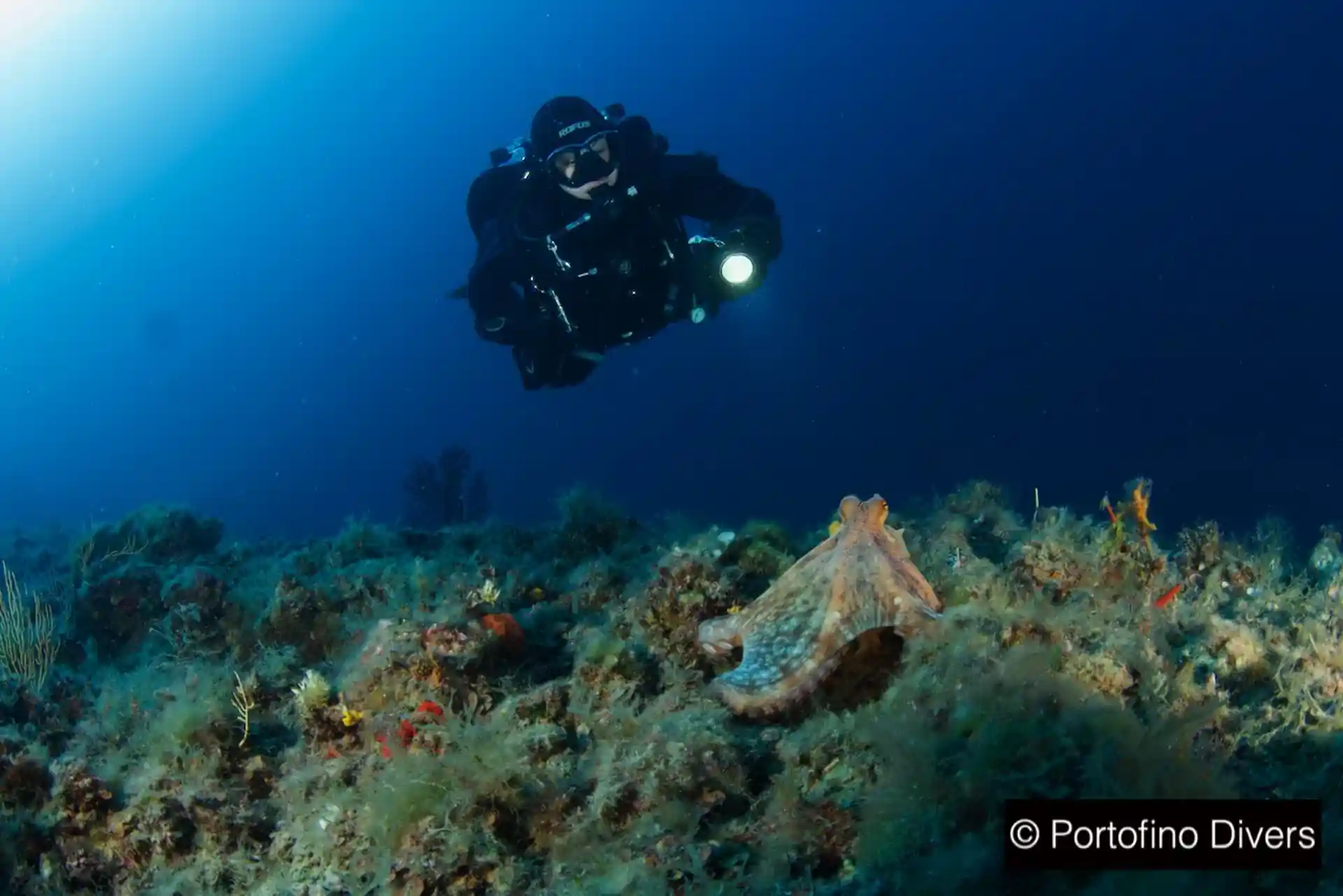 Dive site photo