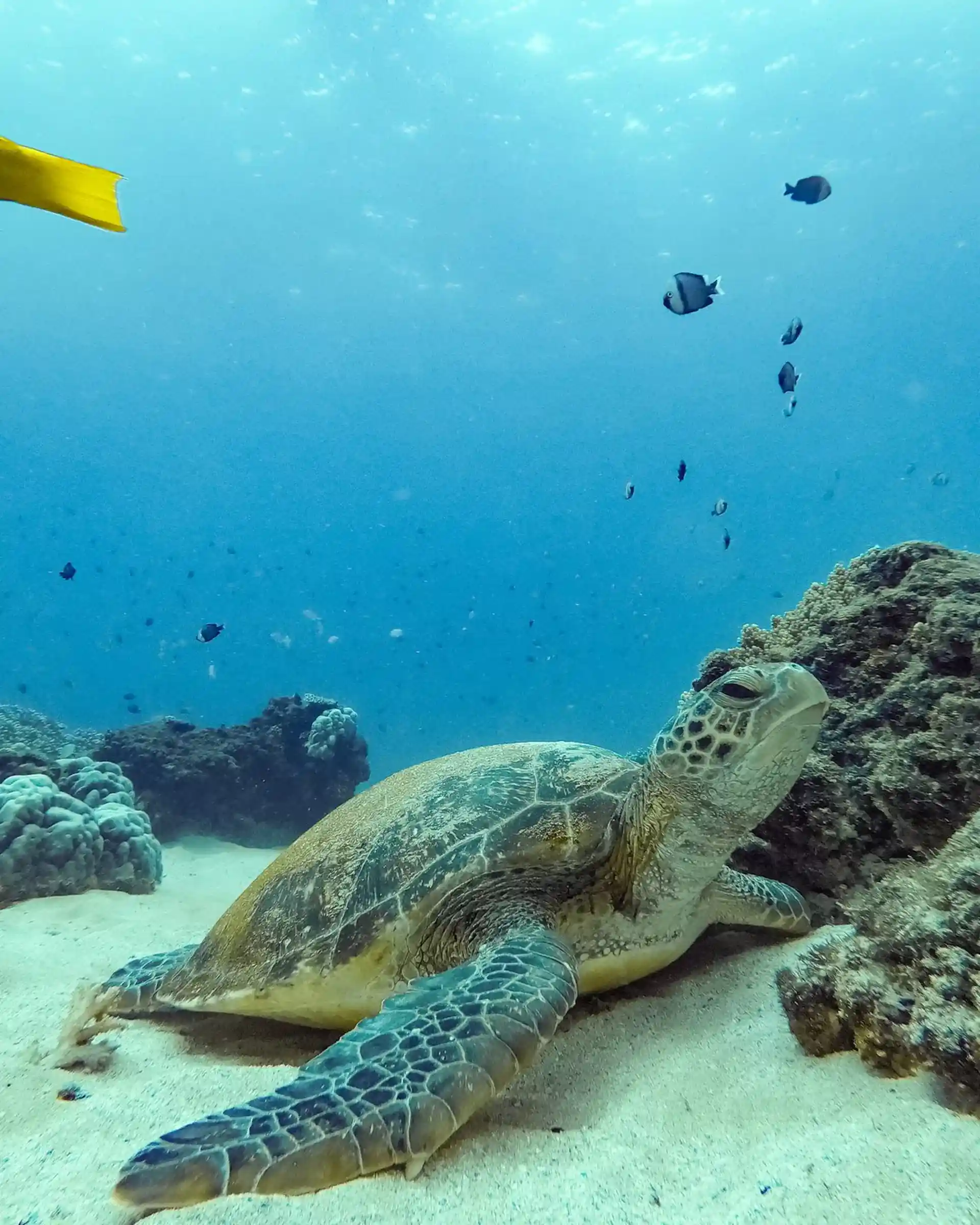 Dive shop photo