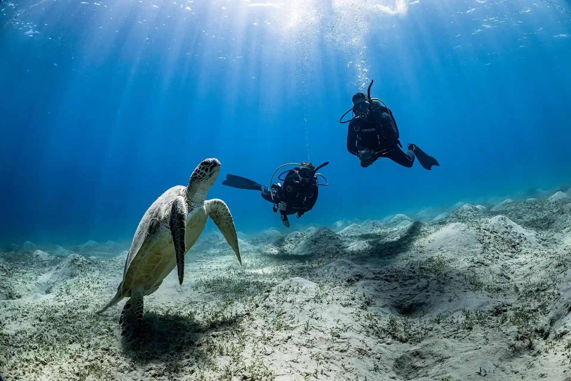 Dive shop photo