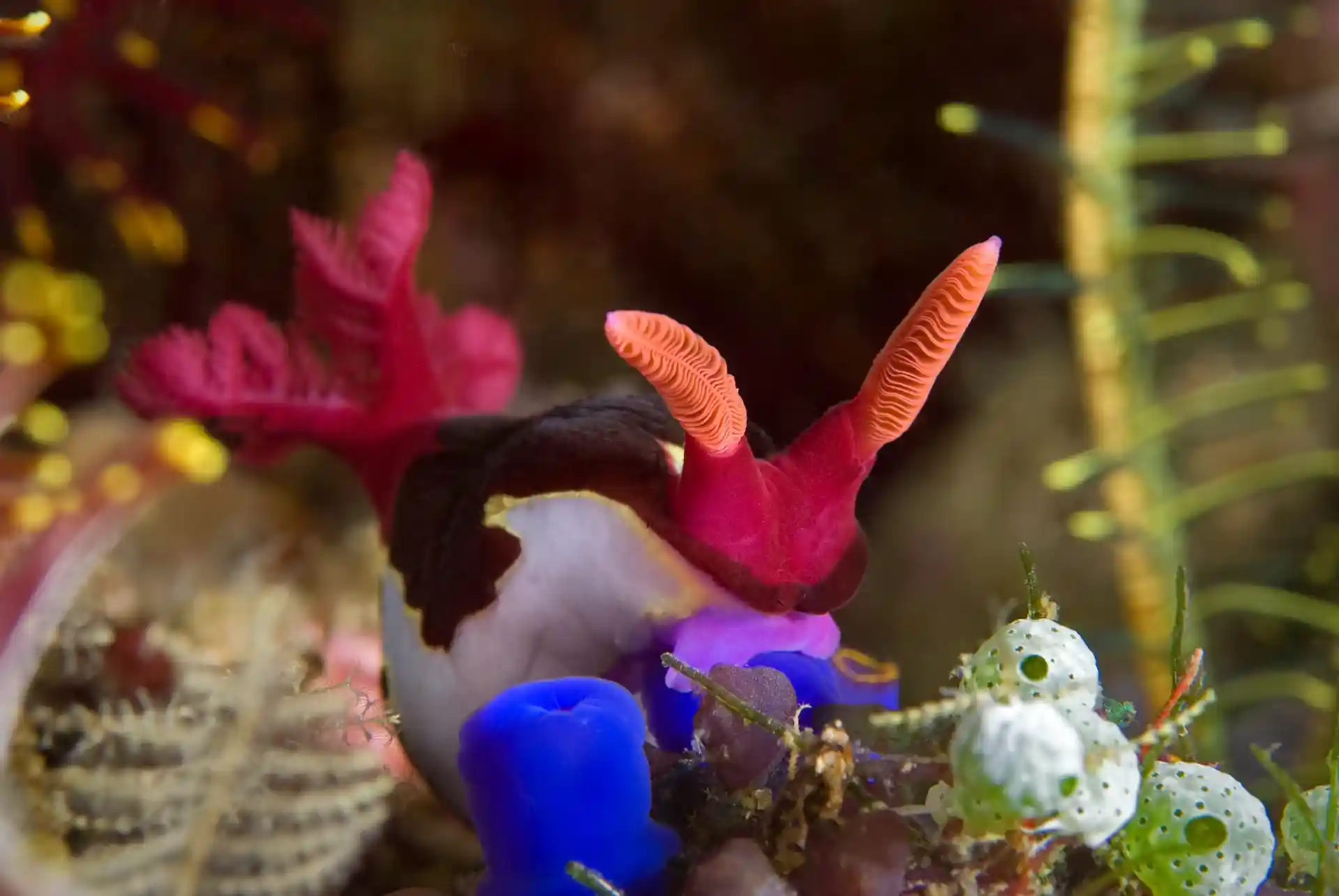 Foto des Tauchplatzes