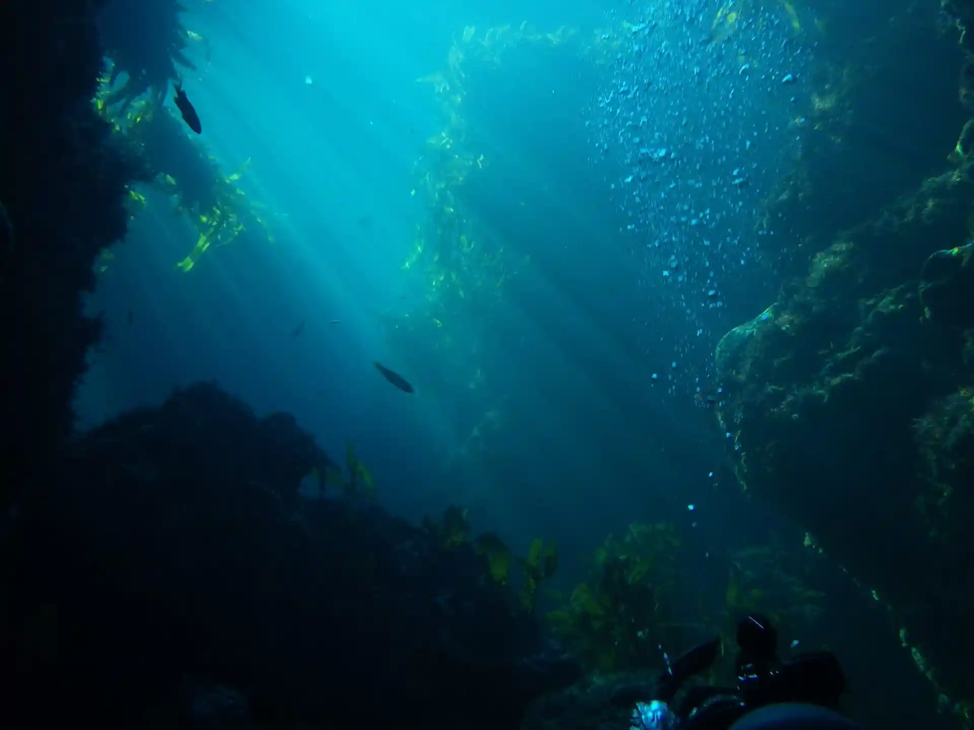 Dive site photo