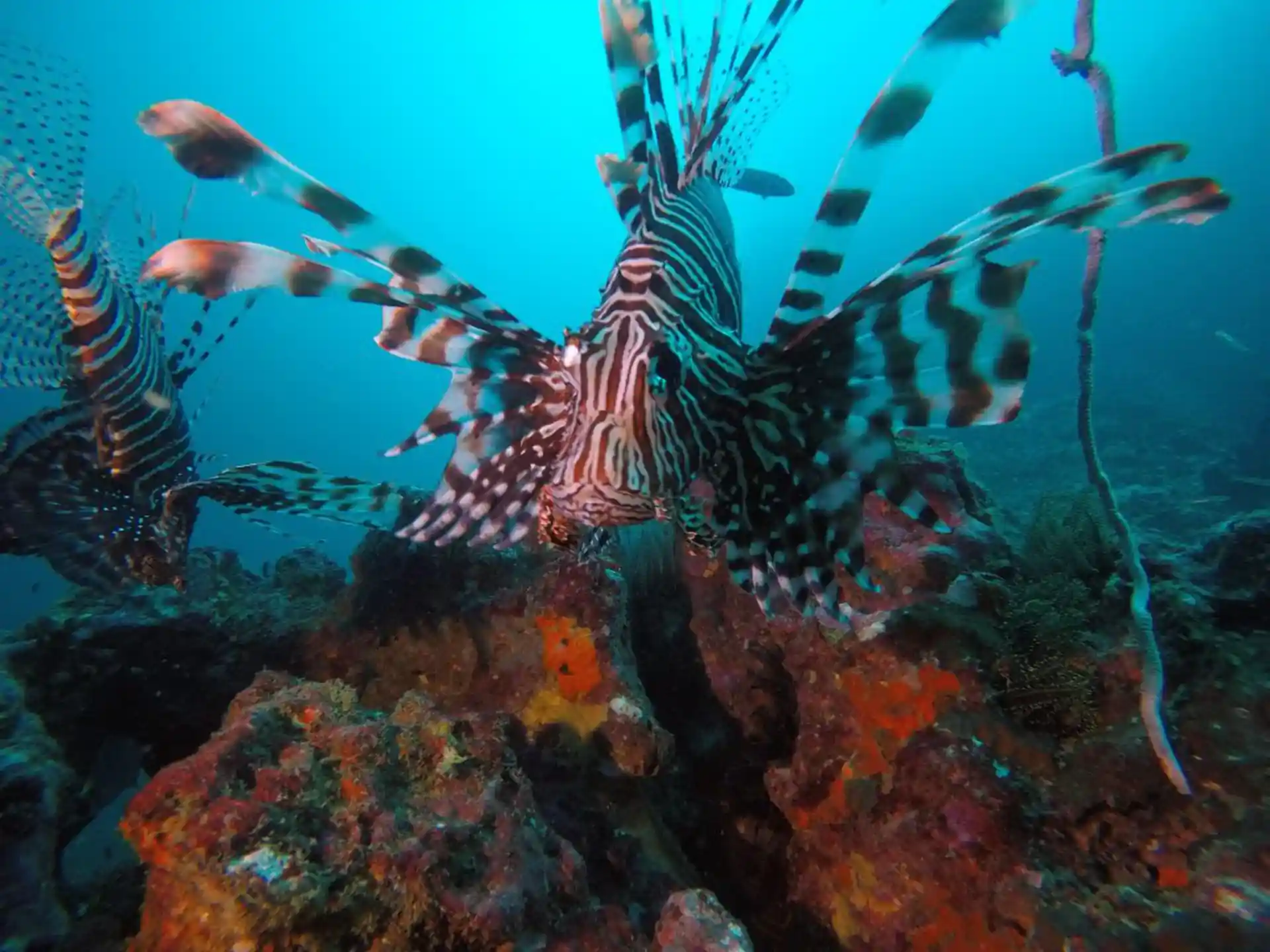 Dive shop photo