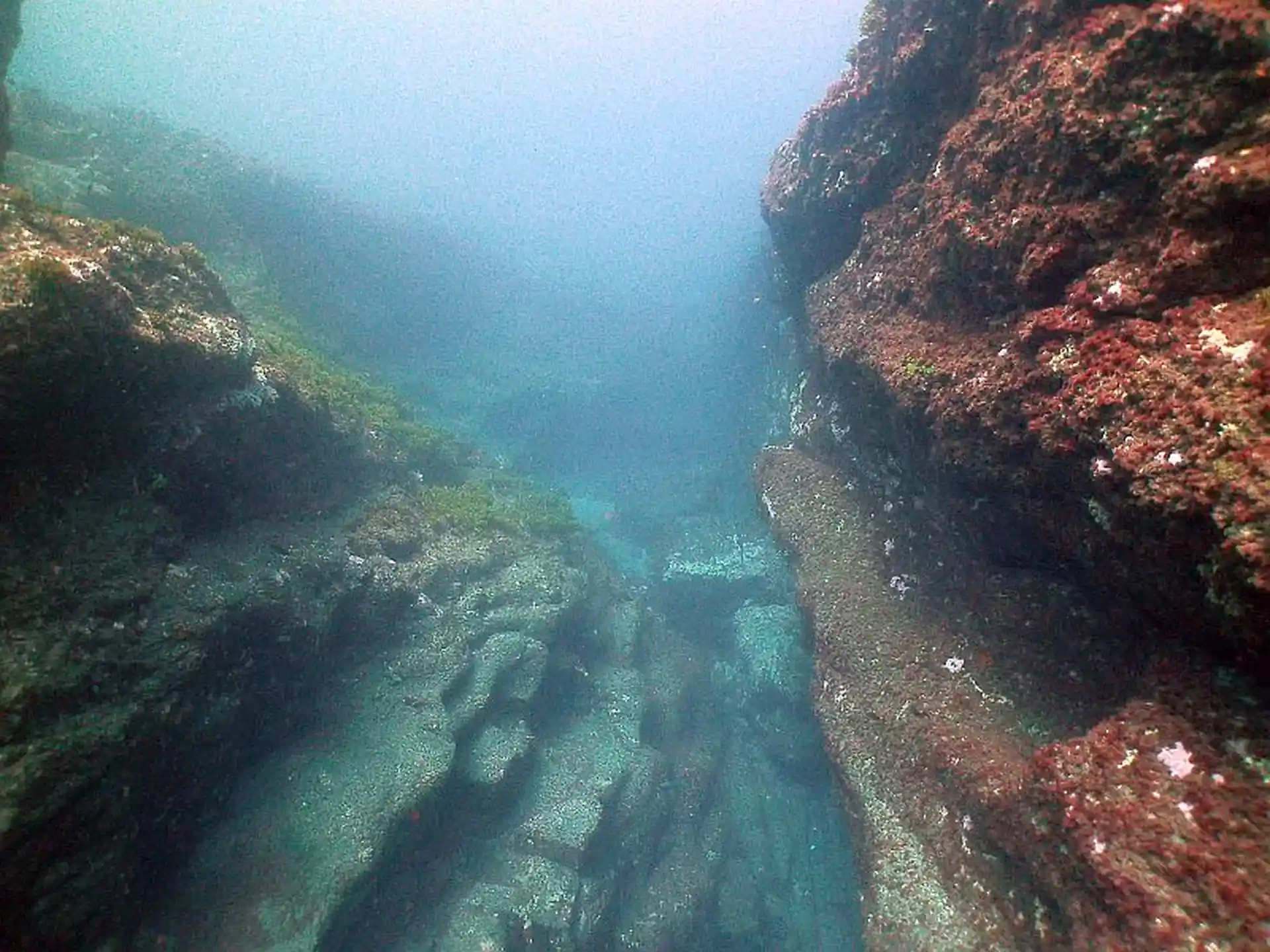 다이빙 포인트 사진