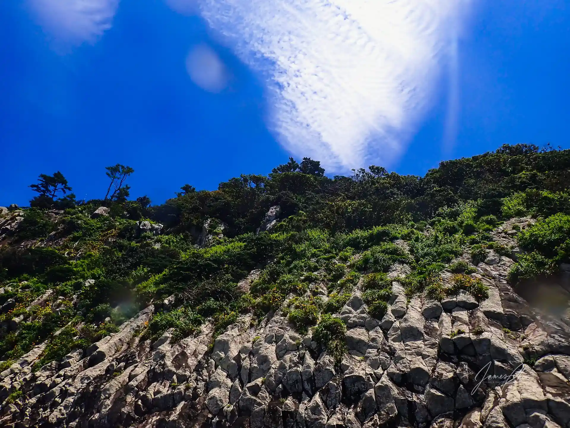 ダイビングサイトの写真