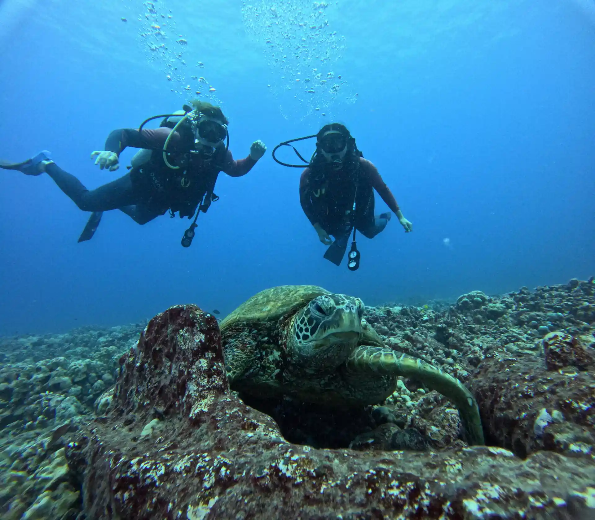 Photo de l'activité