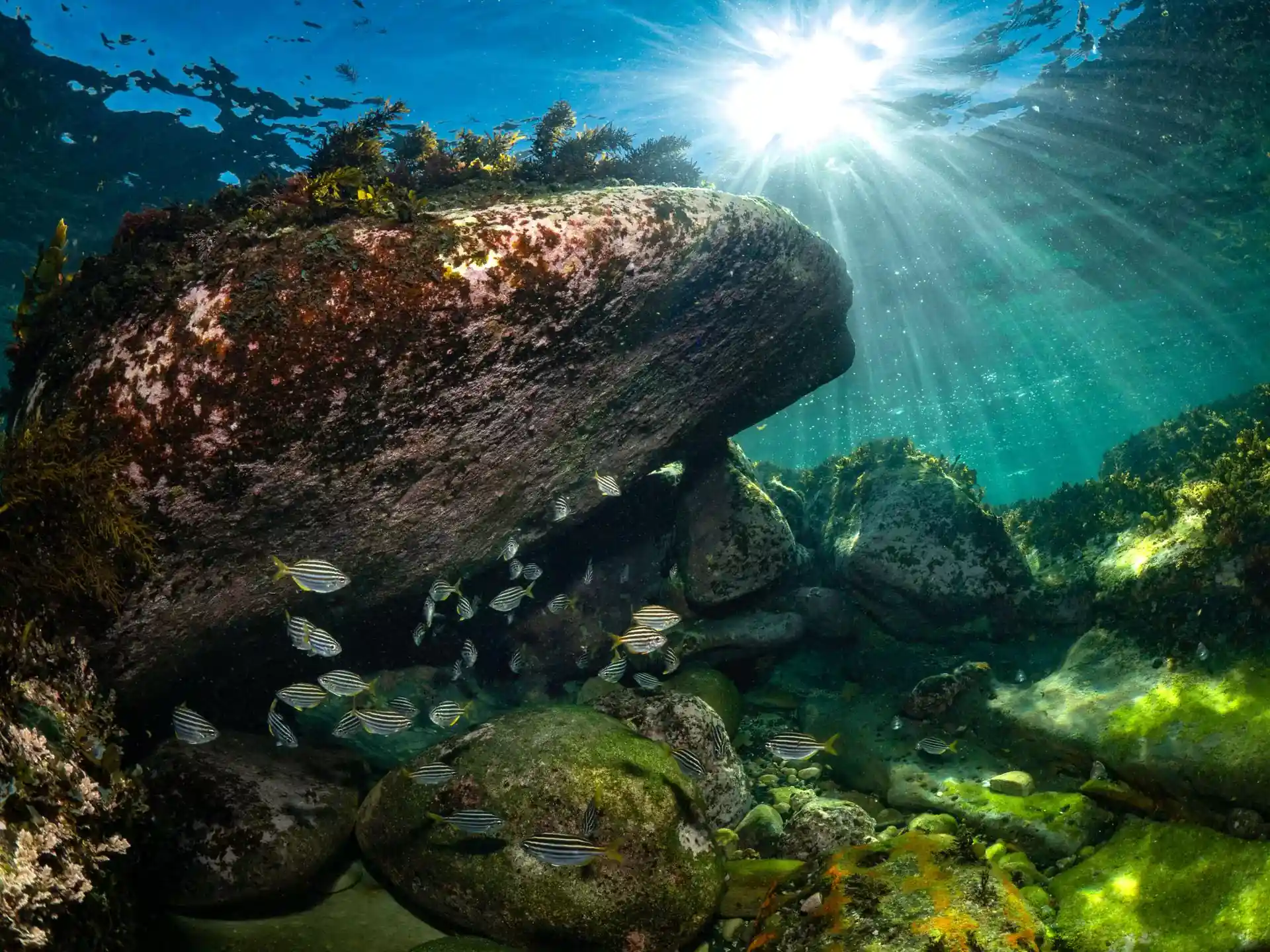 Dive site photo