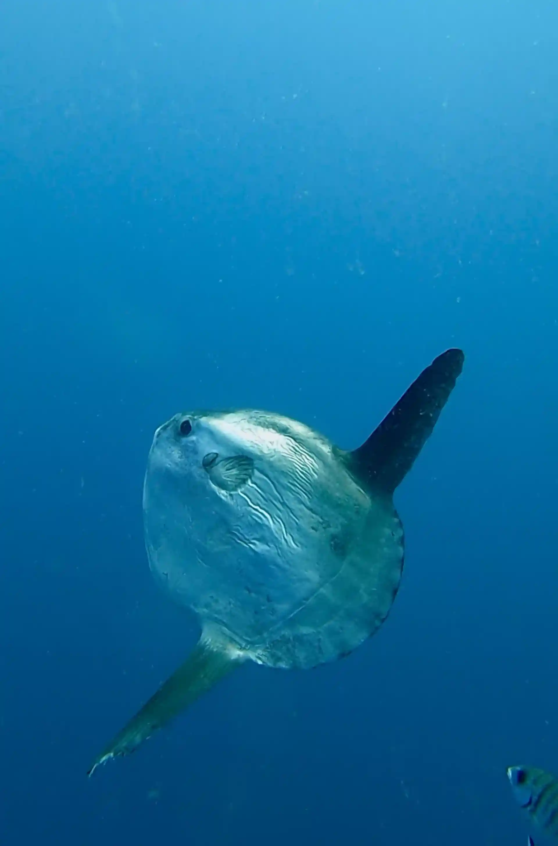 Dive shop photo