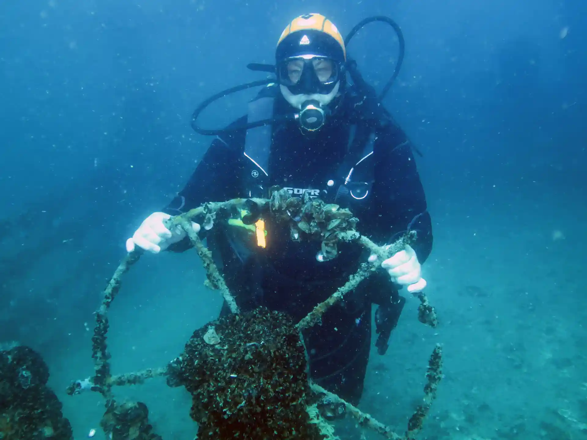 Dive shop photo