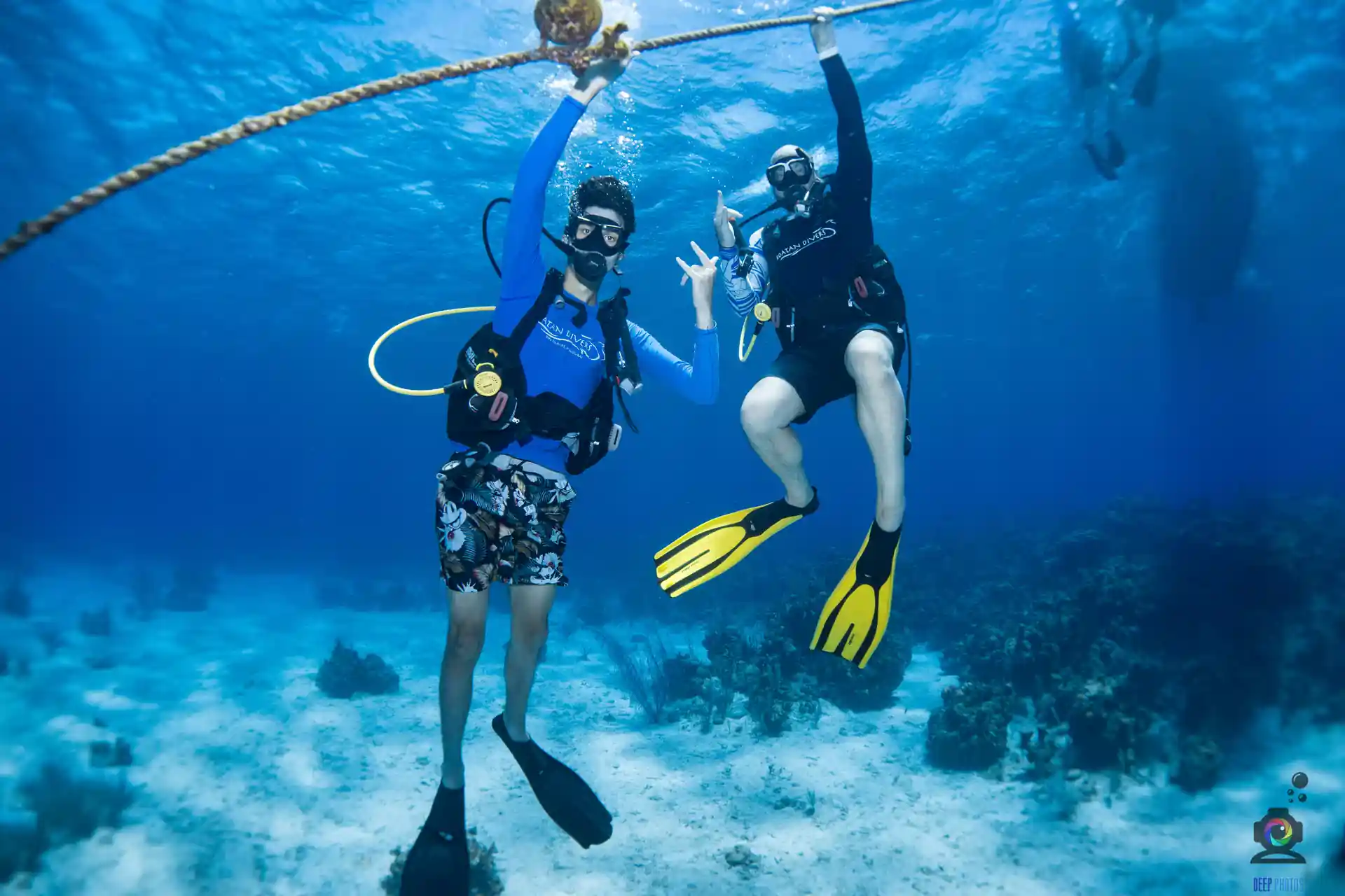 Photo de l'activité