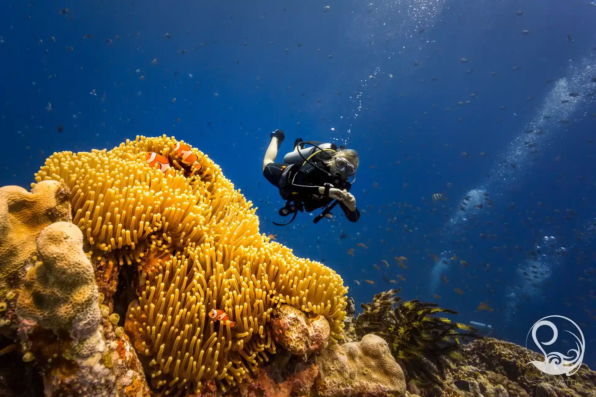 다이빙 포인트 사진