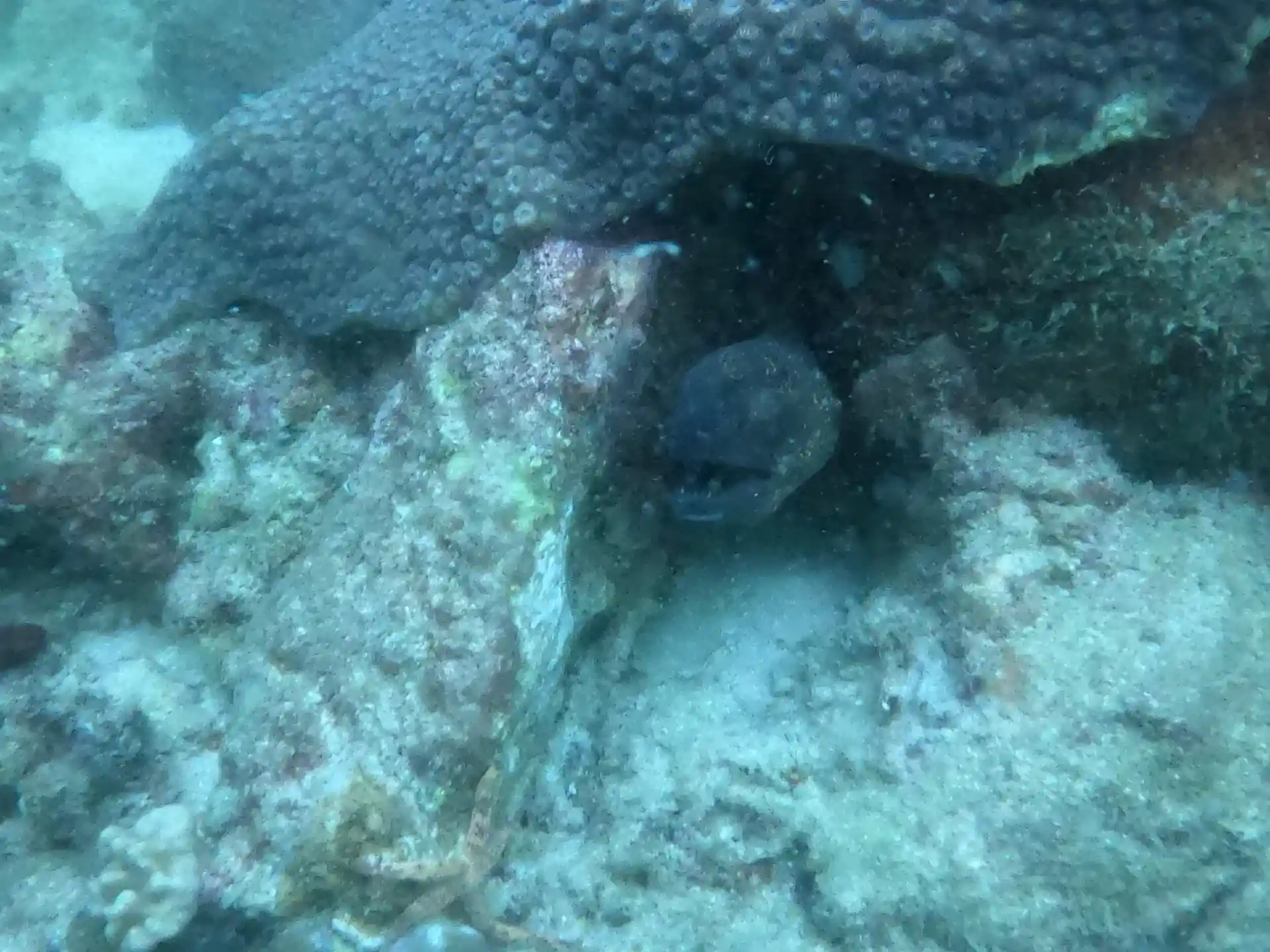 Dive site photo