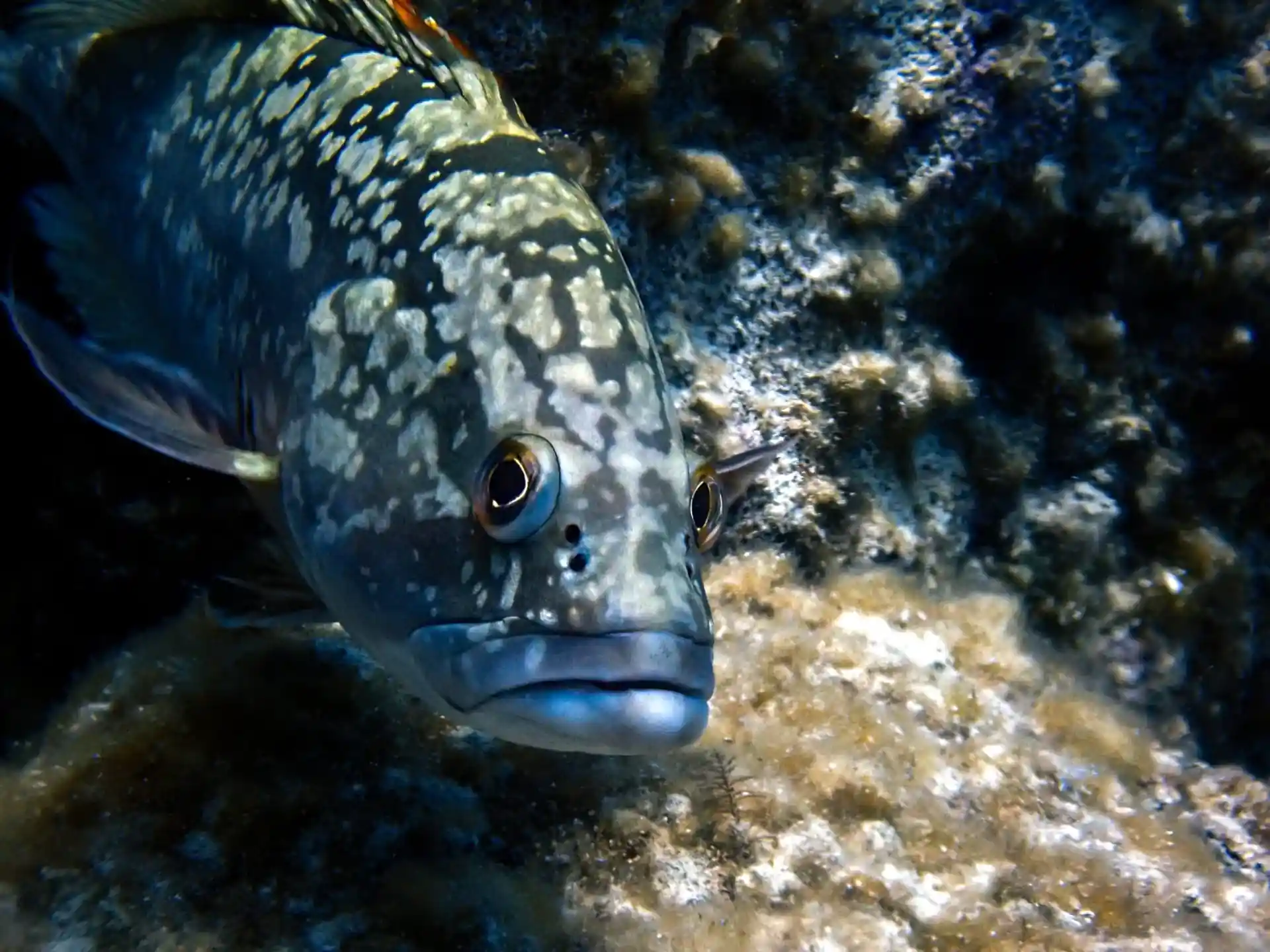 Dive site photo