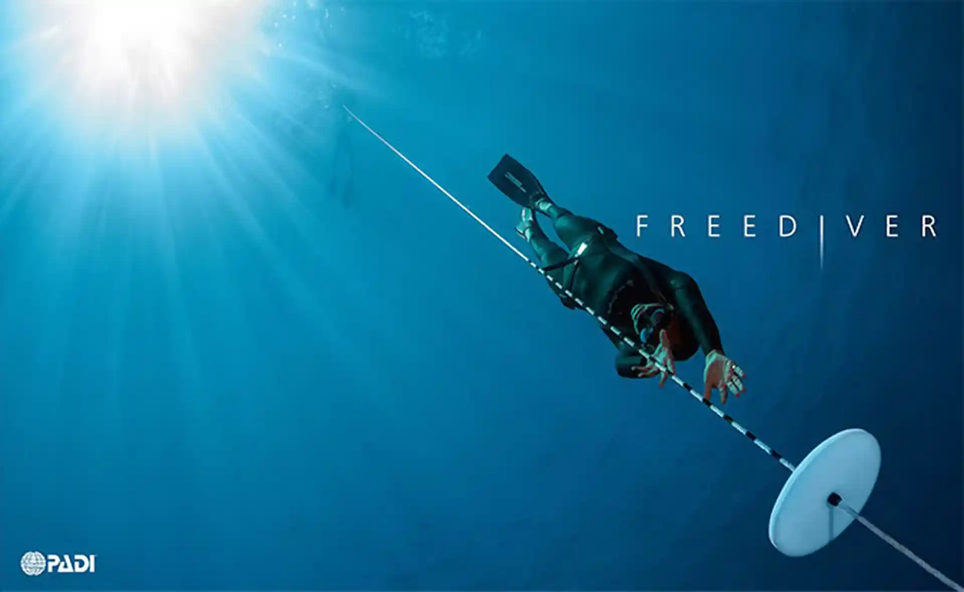 Foto de la actividad