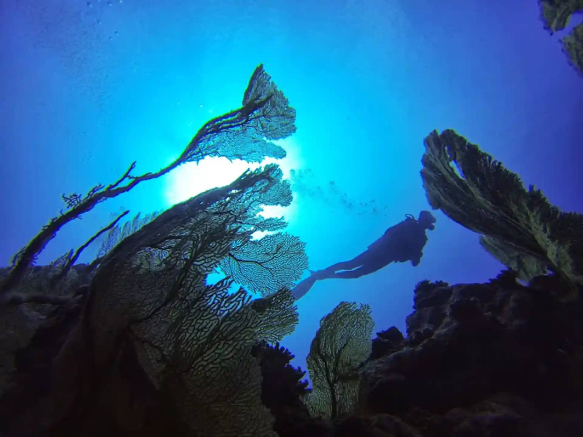 Dive shop photo