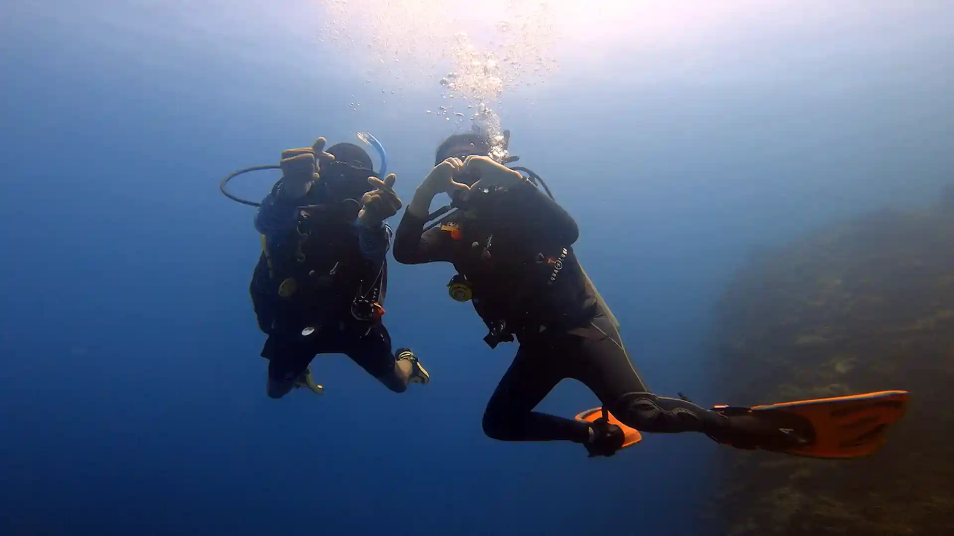 Enjoy diving in the beautiful underwater world of Bohol.