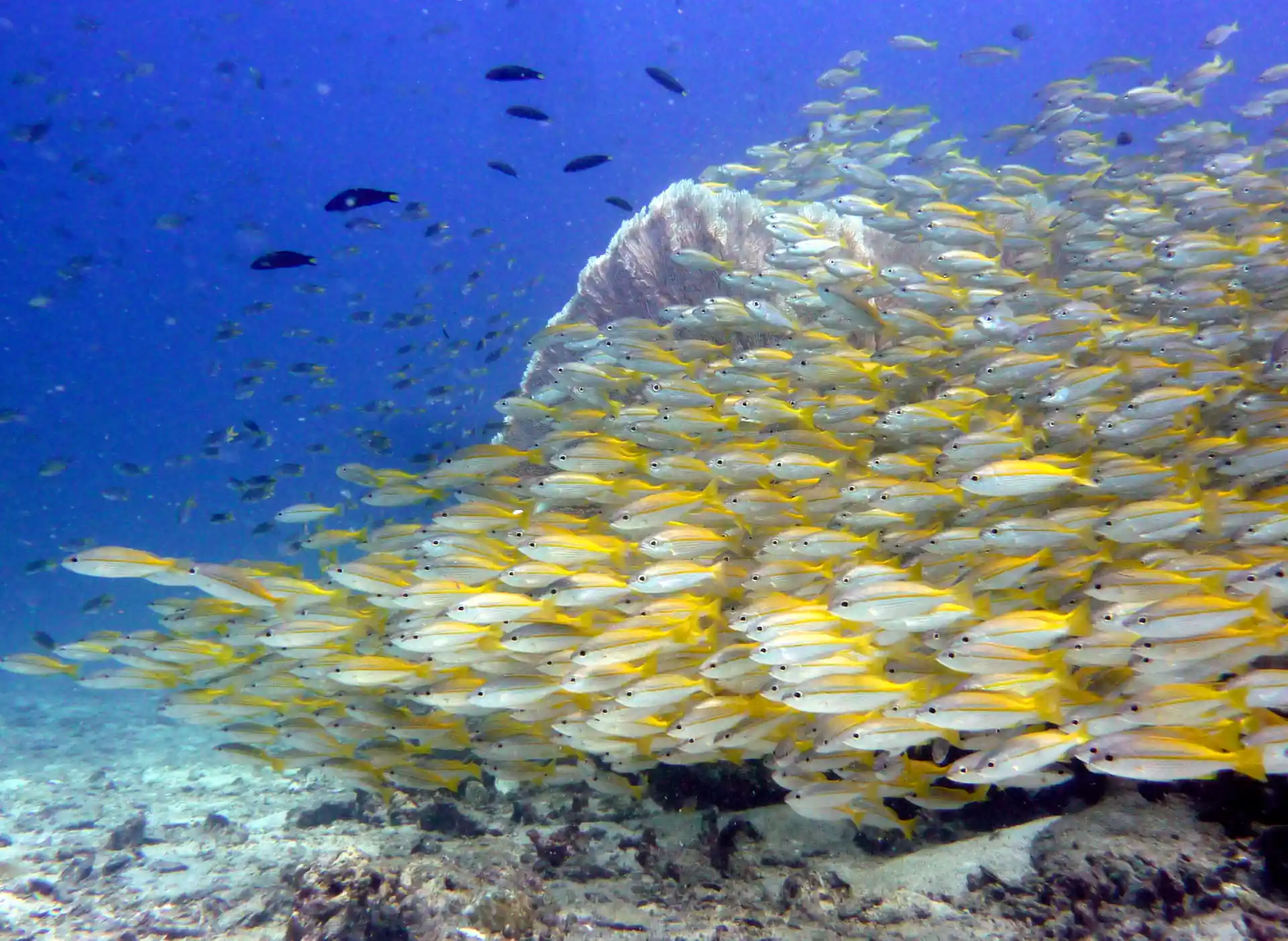 Foto de la actividad