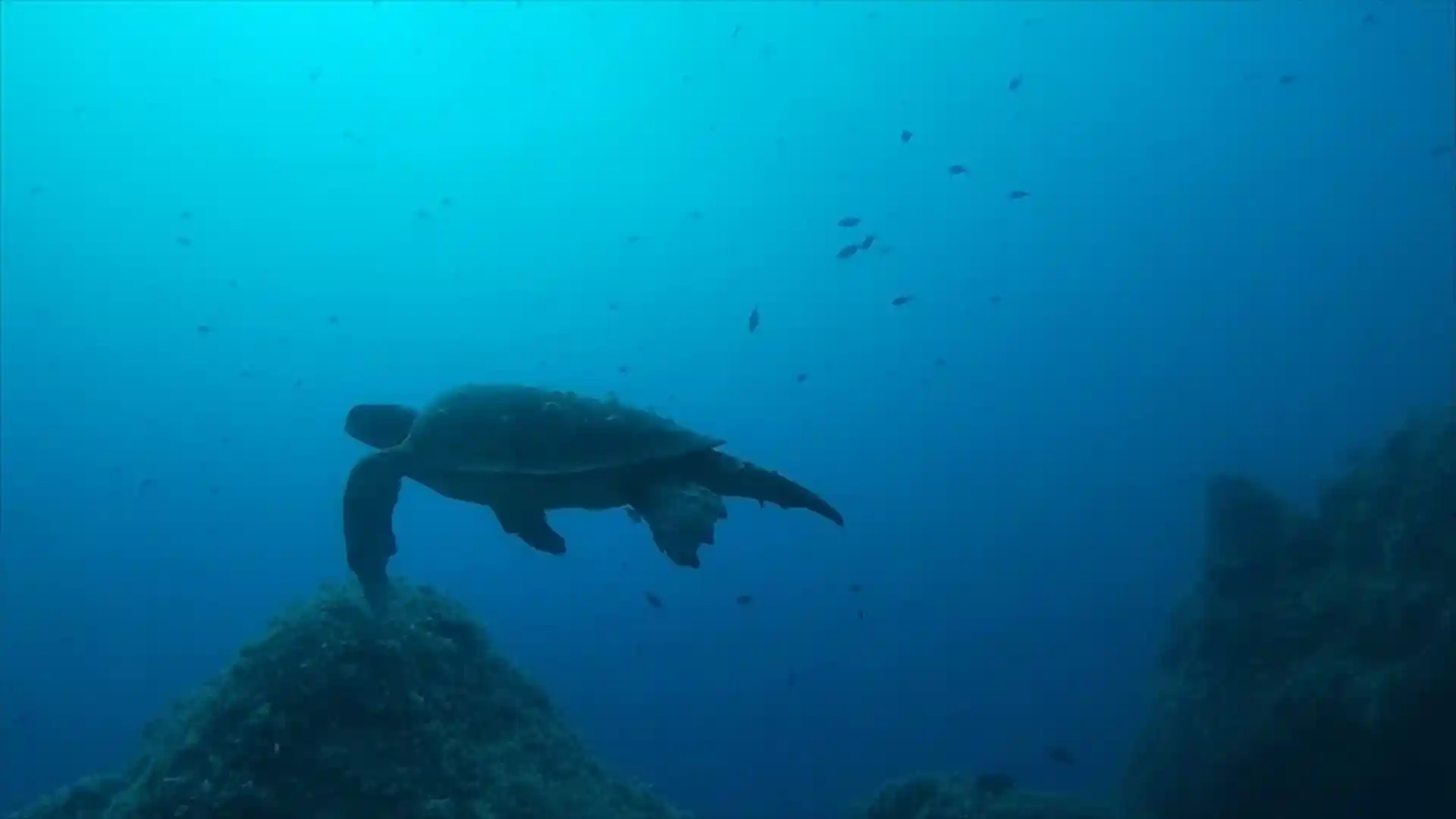 Dive site photo