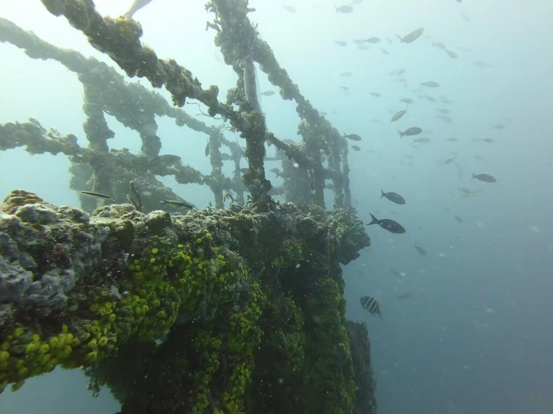 Dive site photo