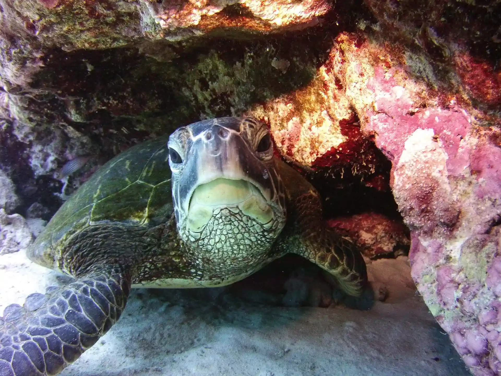 Dive site photo