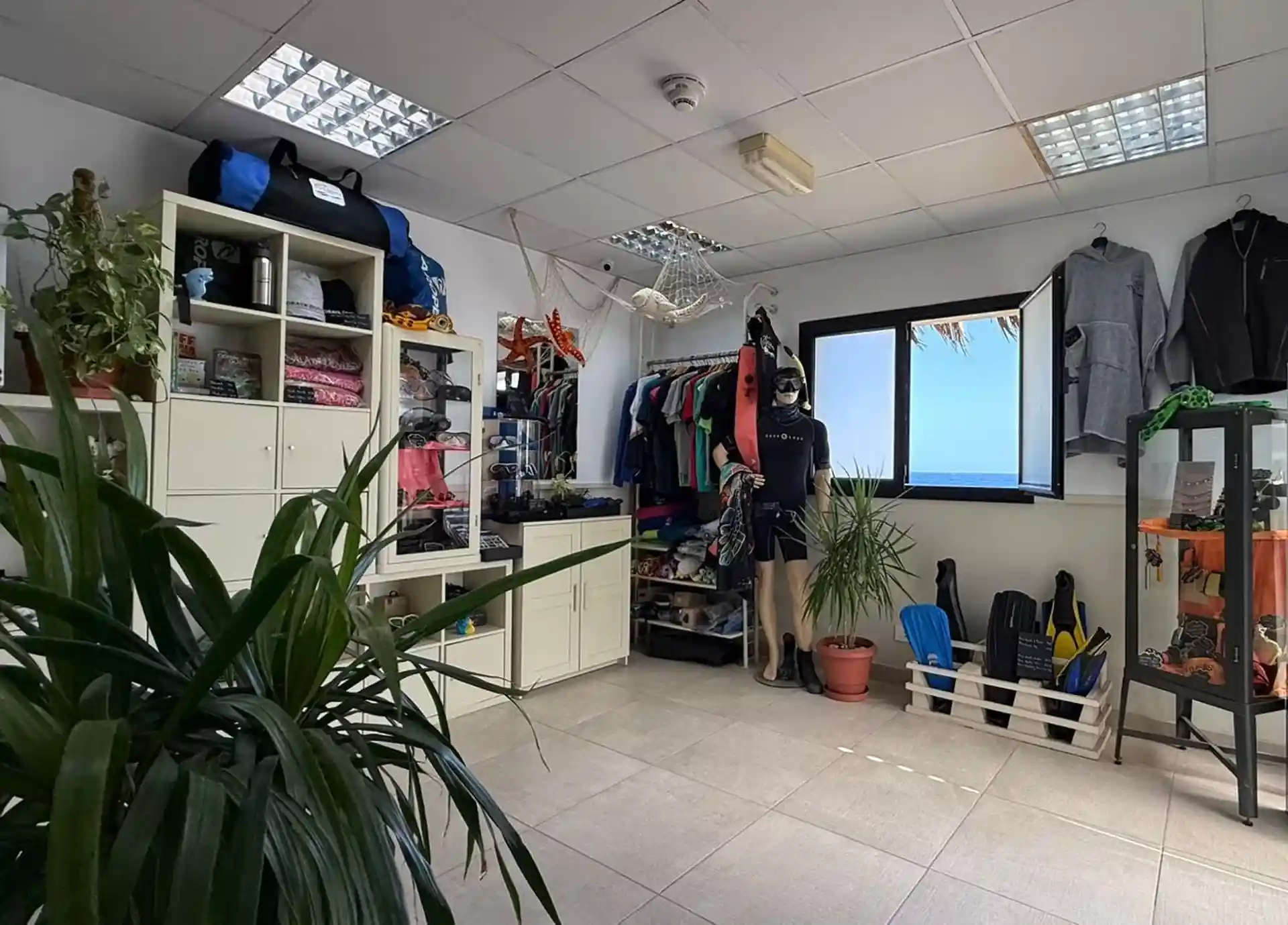 Shop