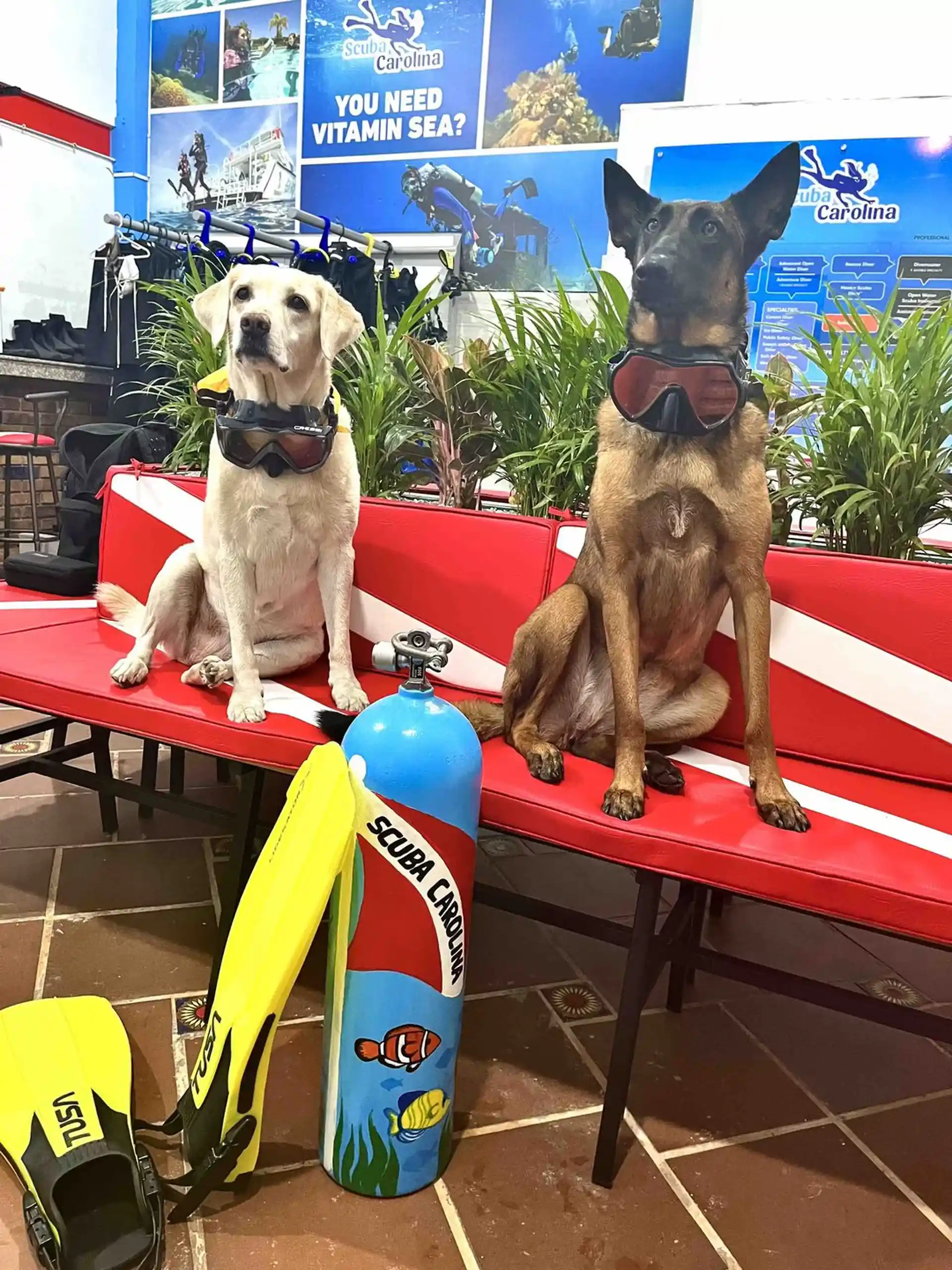 Dive shop photo