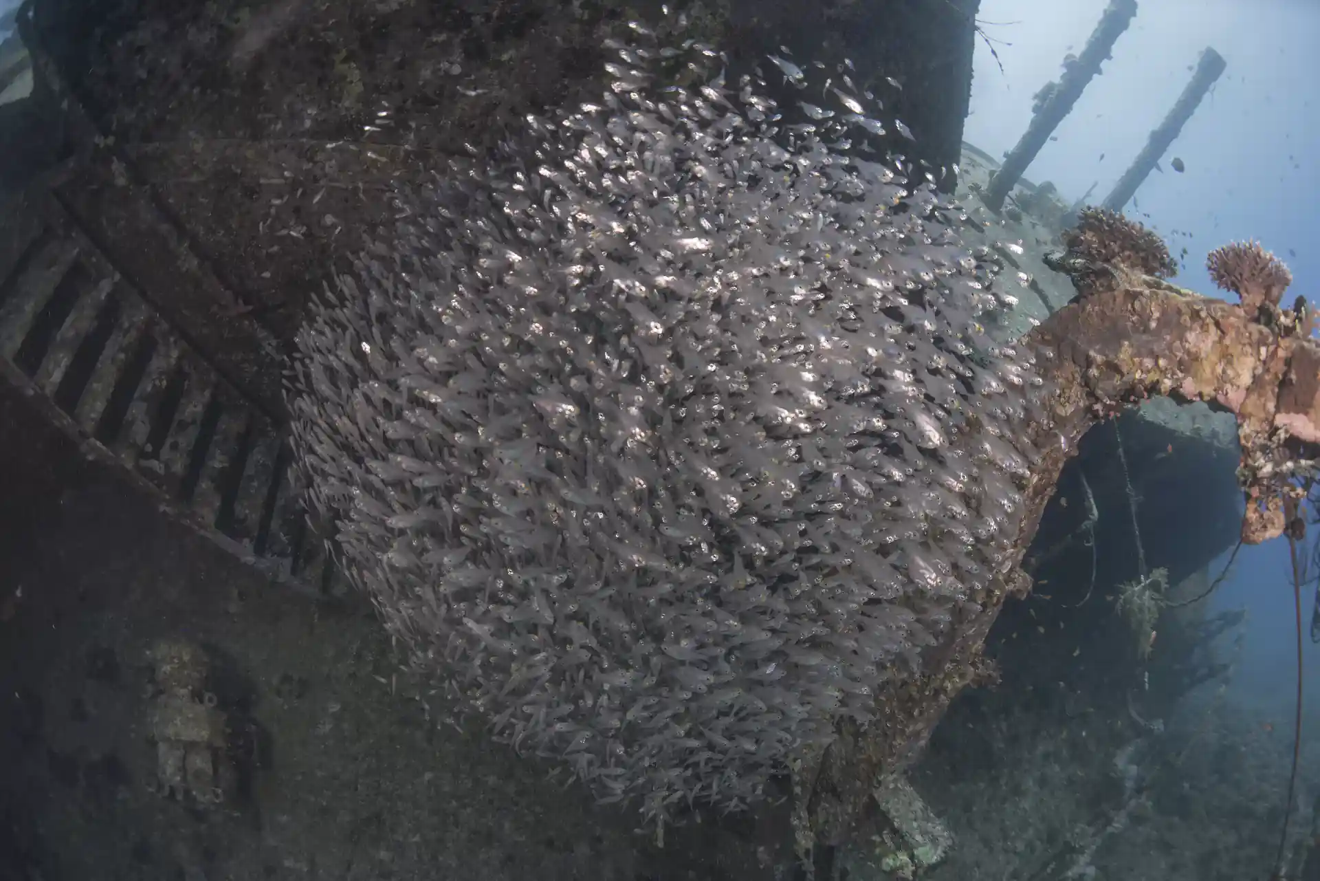 Foto de la actividad