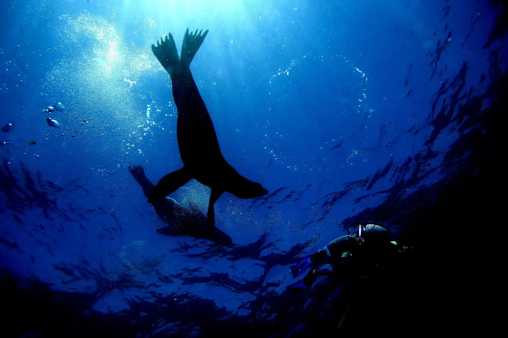 다이빙 포인트 사진