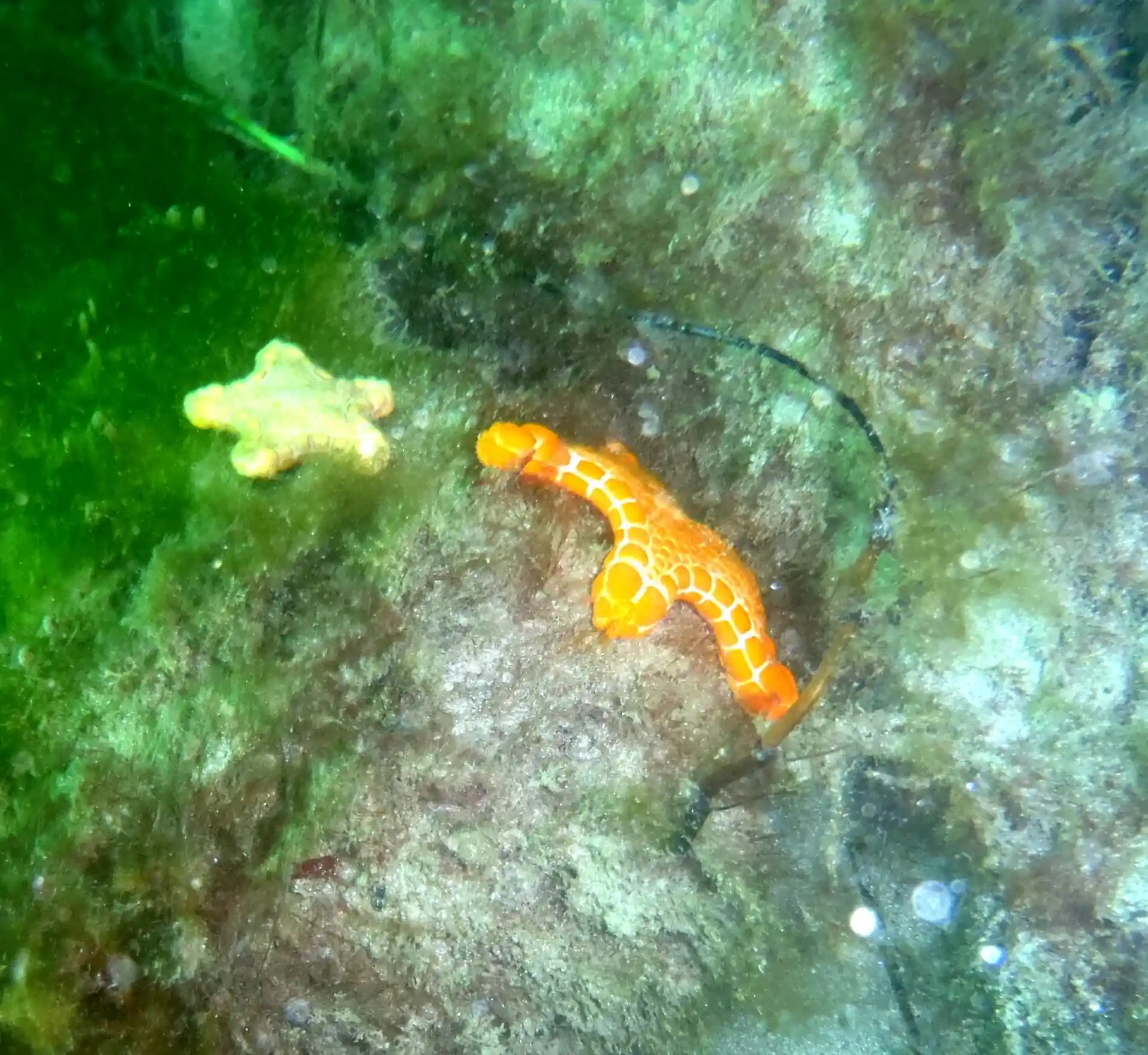 Dive site photo