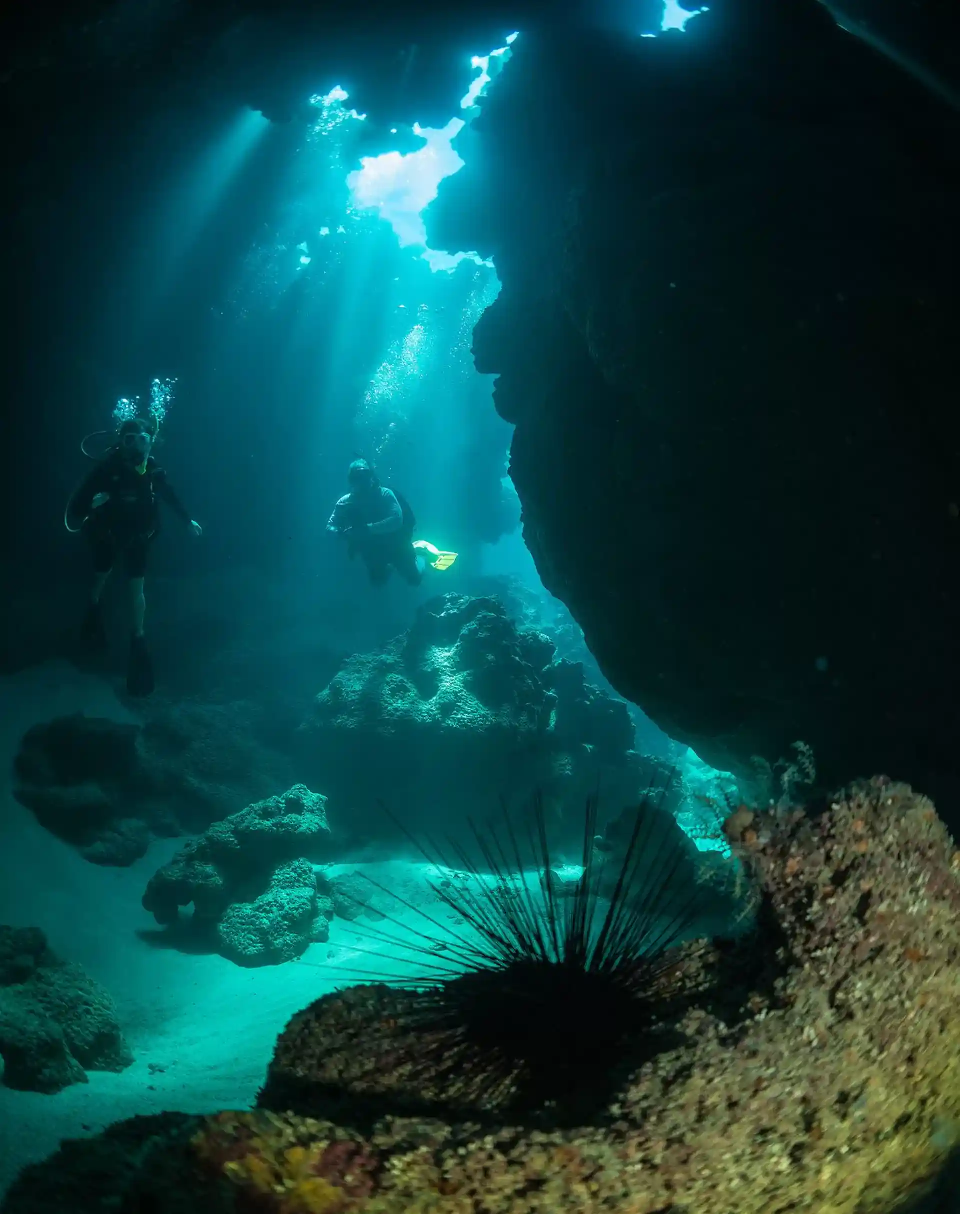 Dive site photo