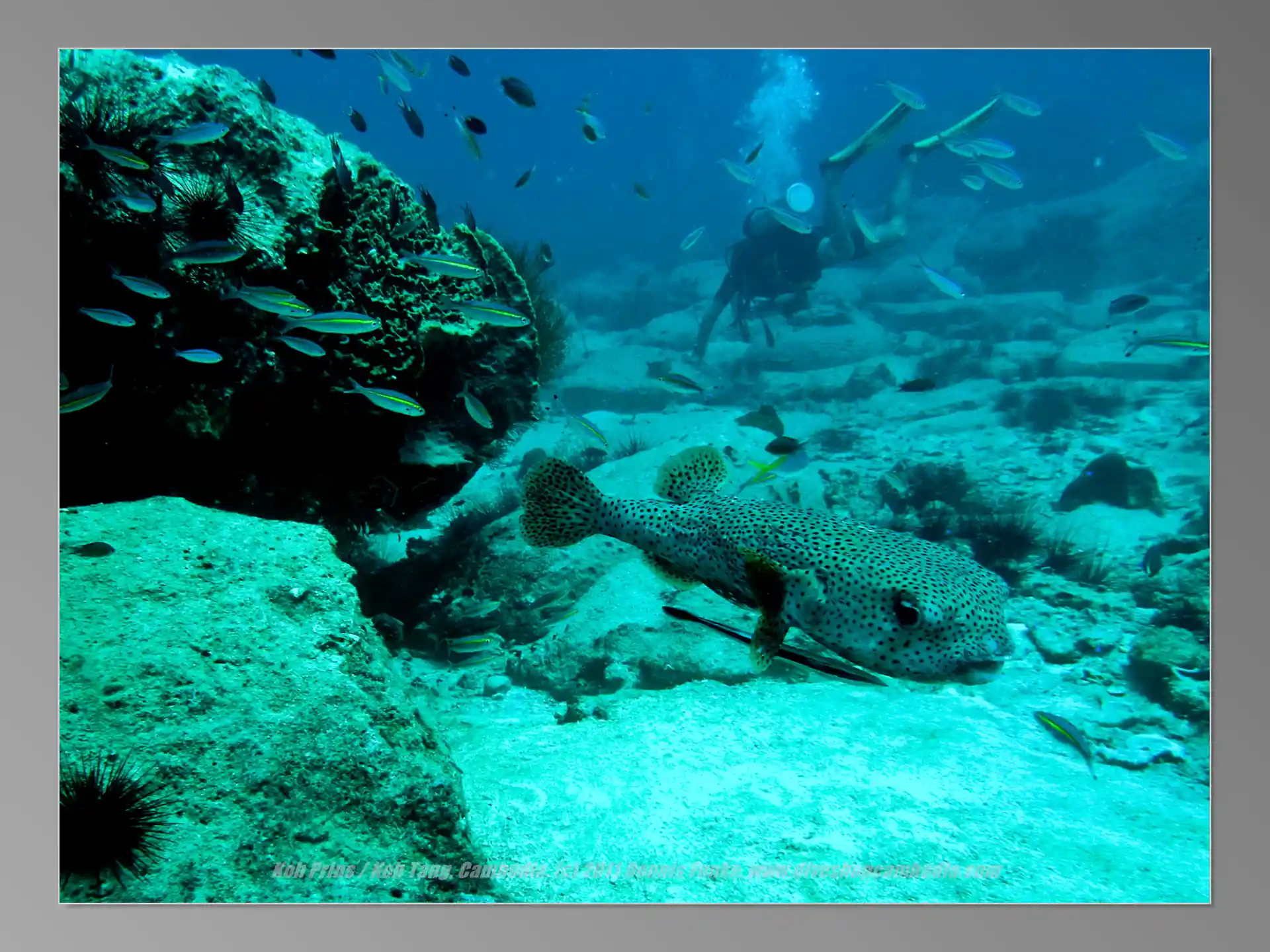 Foto van de duiklocatie