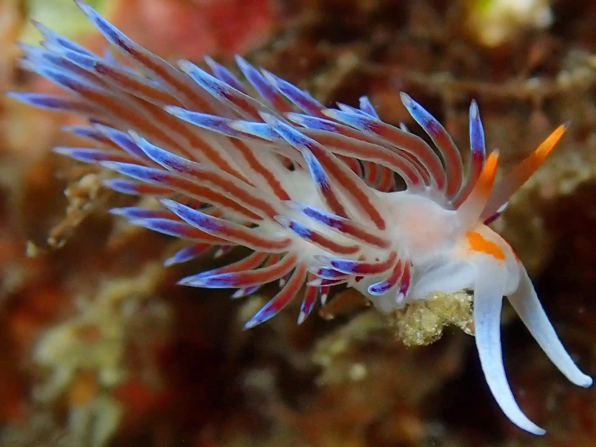 Foto de la actividad