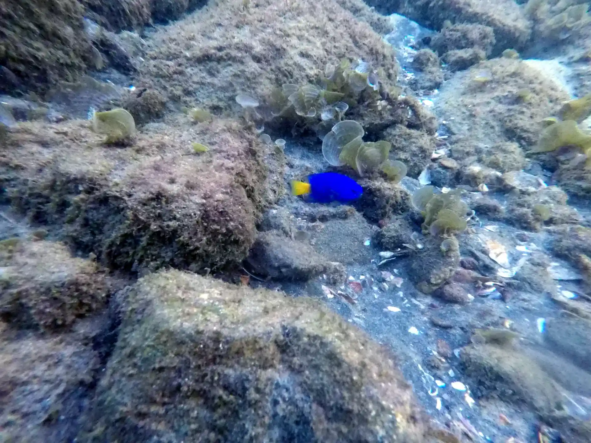 Photo du site de plongée