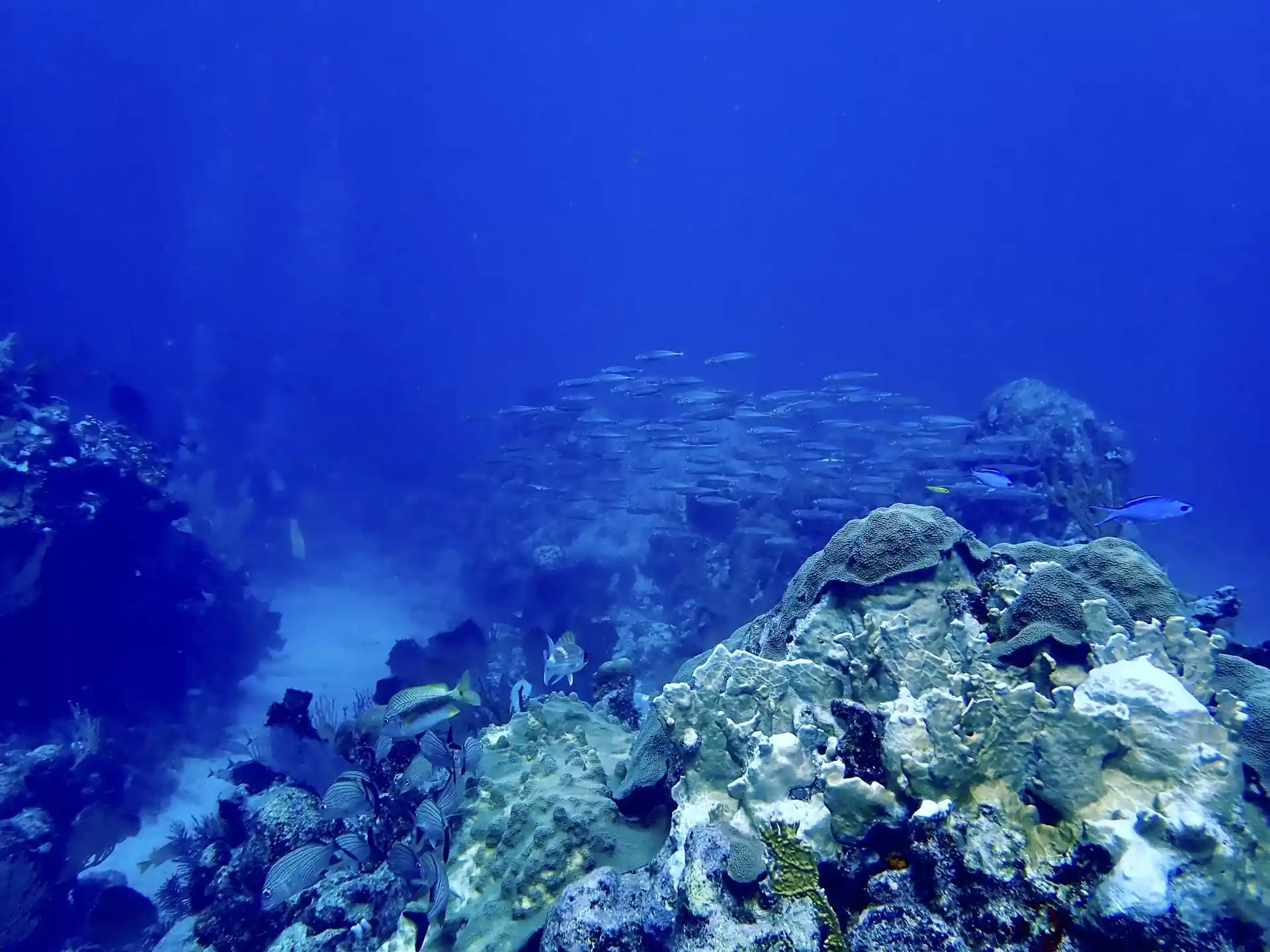 Dive site photo