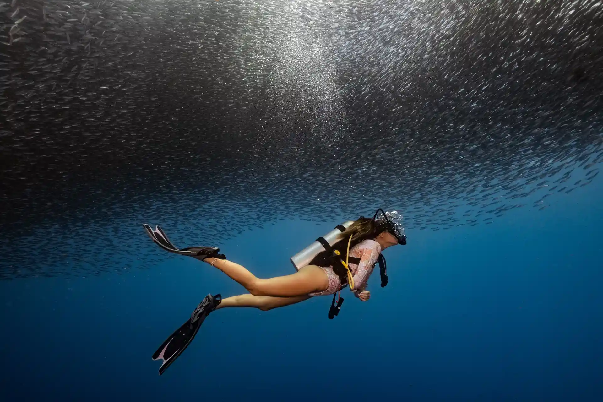 Immerse yourself in the mesmerizing spectacle of Moalboal's sardine run with Amigo's Dive Center. PADI-certified diver amidst a massive school of sardines. #AmigosDiveCenter #Moalboal #Cebu #SCUBA #PADI