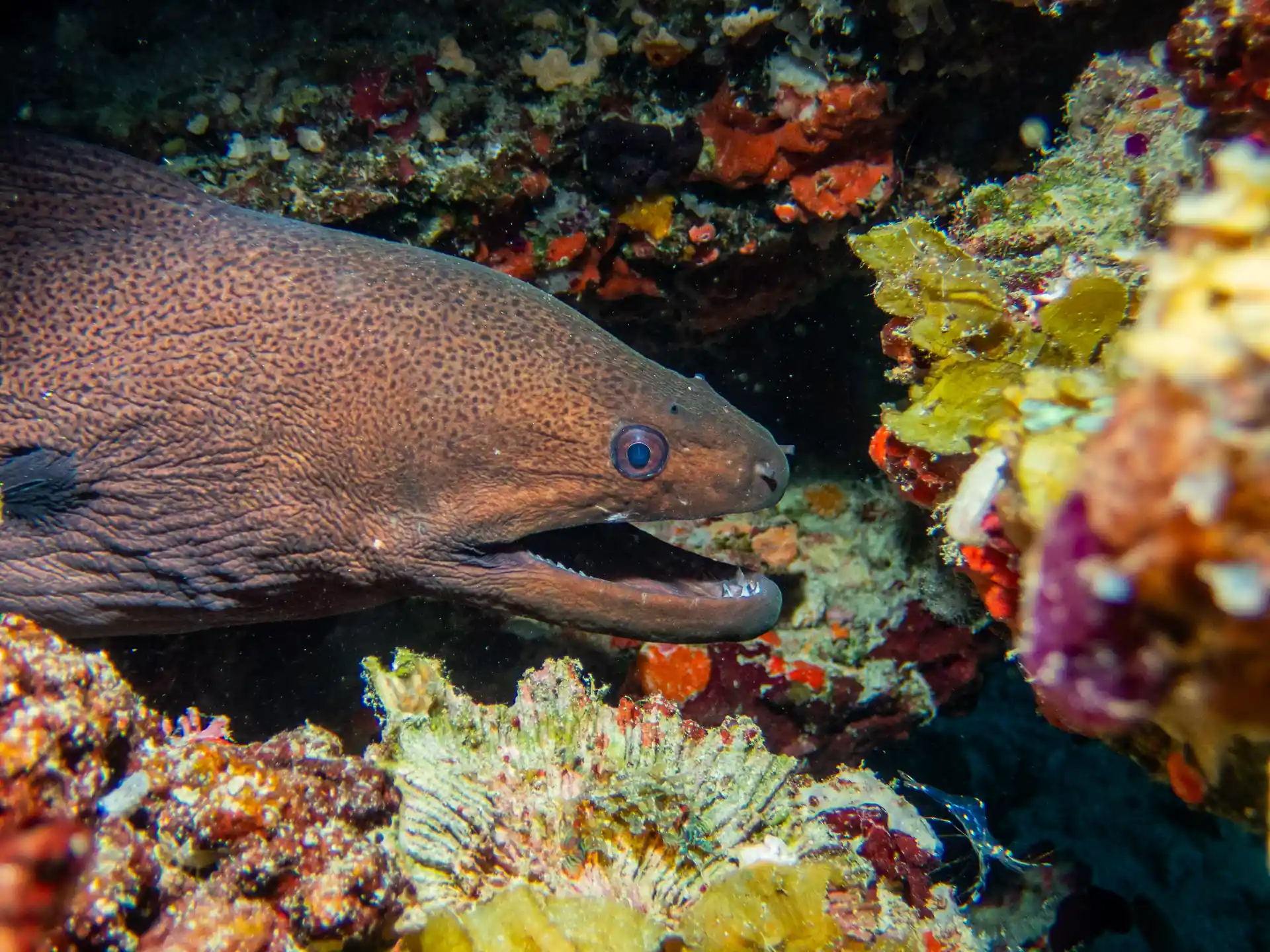 Dive shop photo