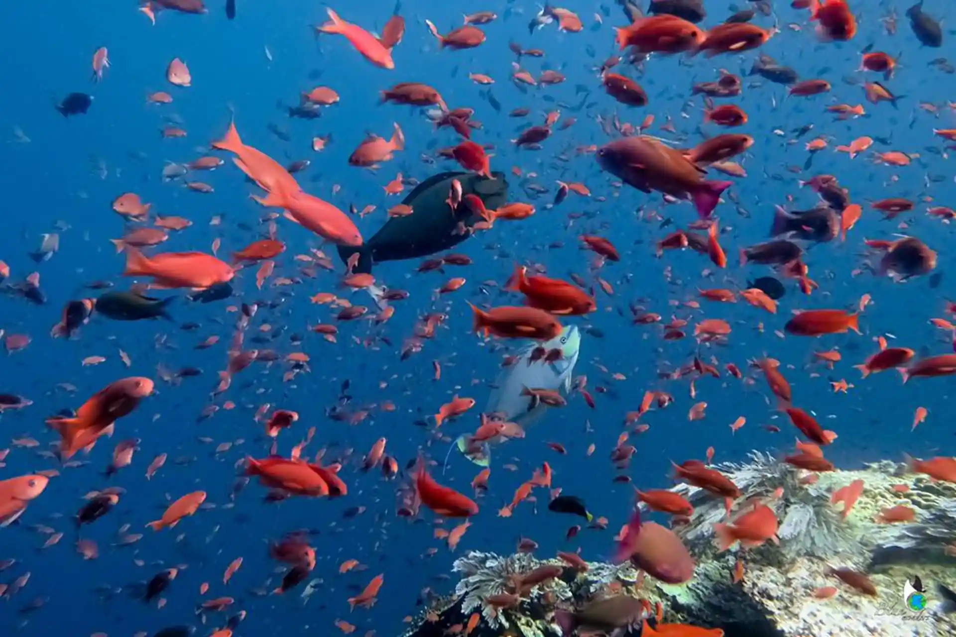 Dive shop photo