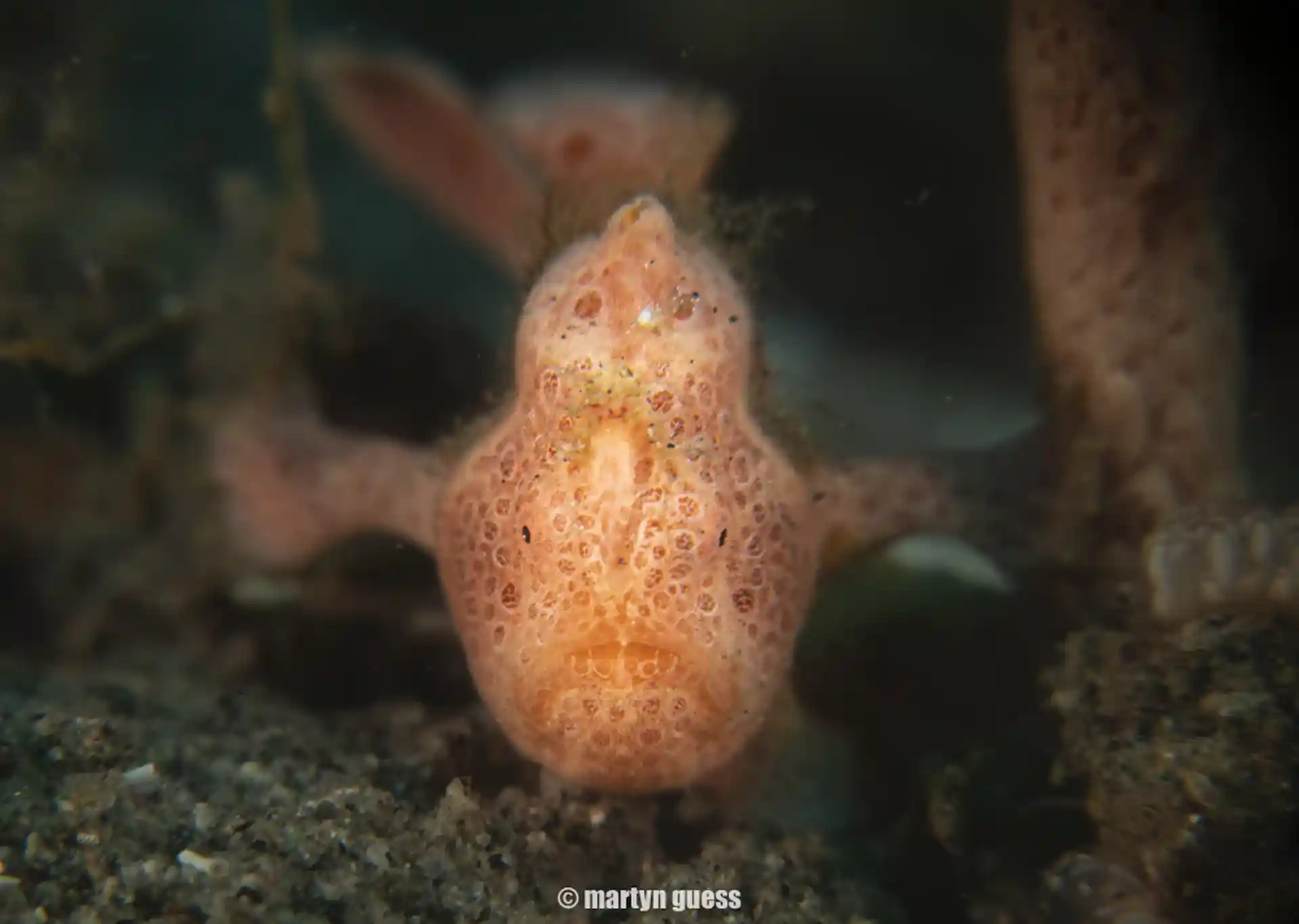 Dive site photo