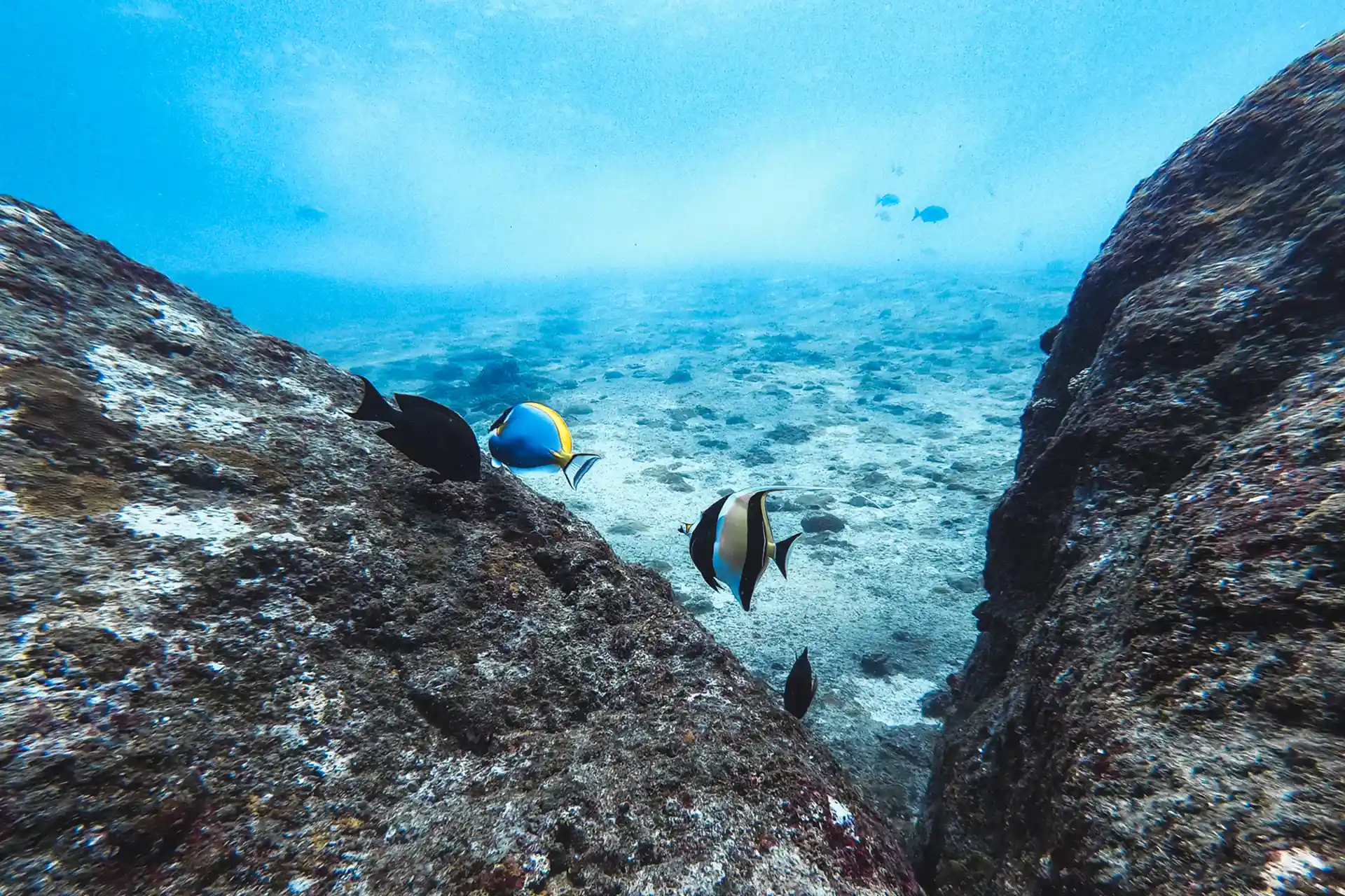 Photo du magasin de plongée