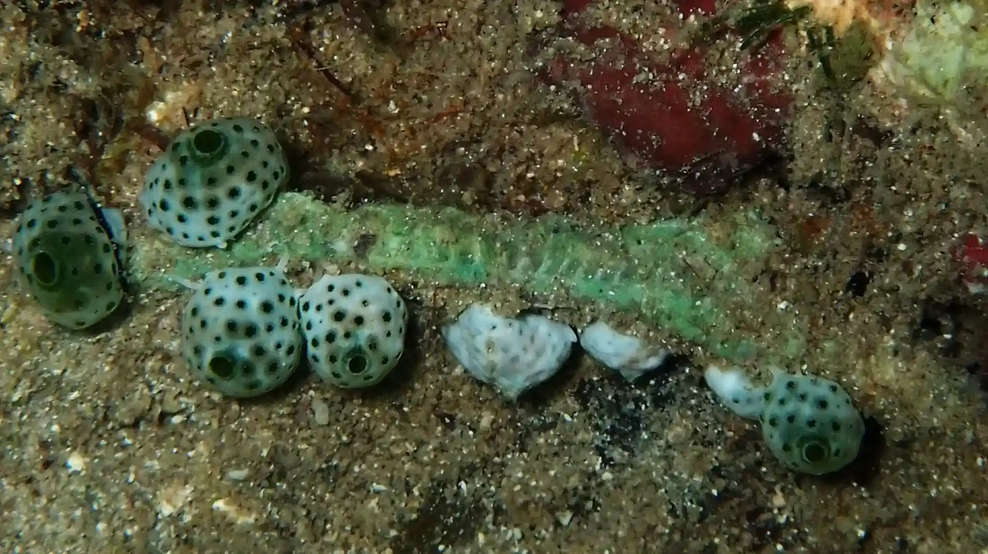 Foto de la actividad