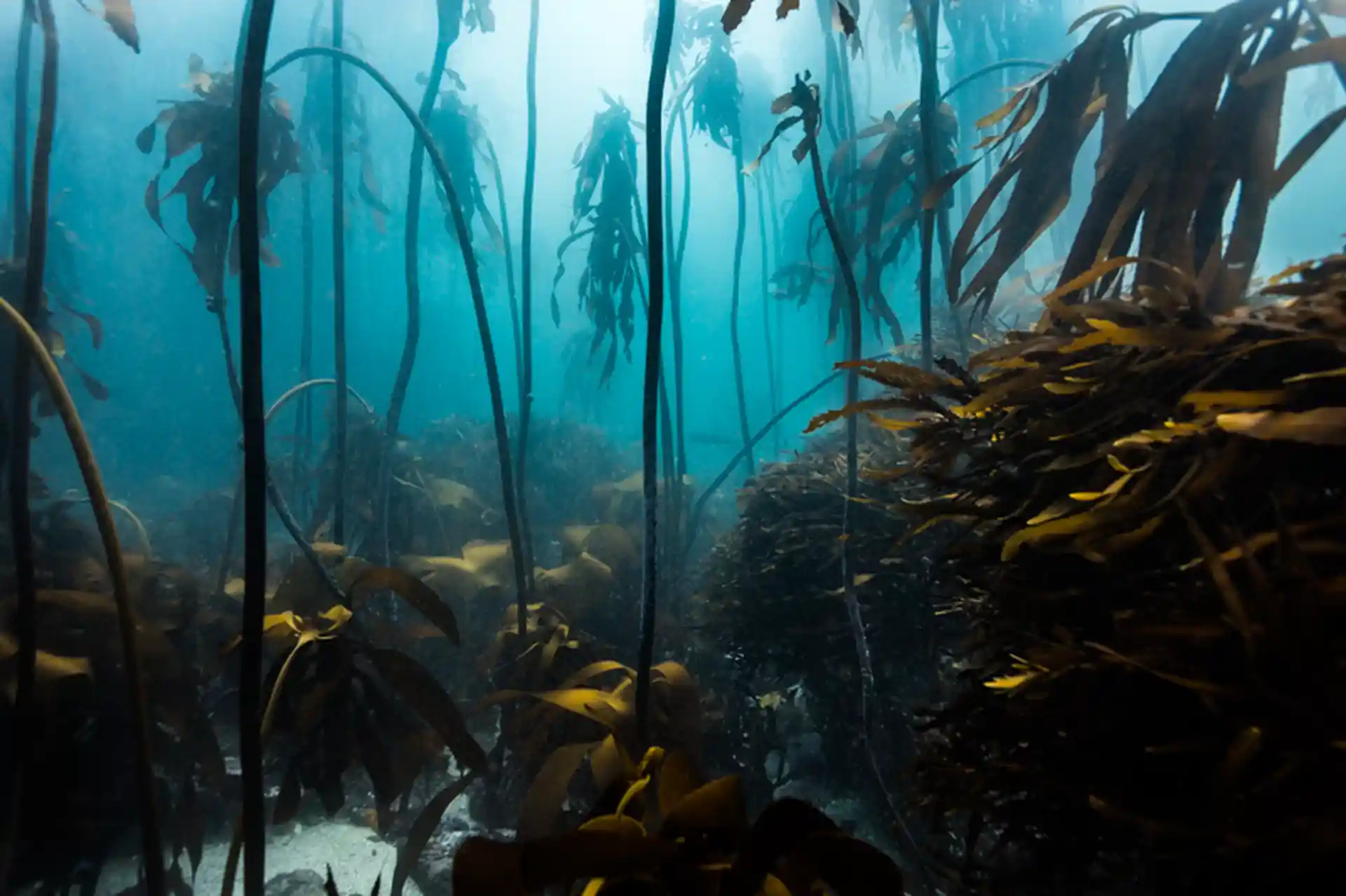 Foto de la actividad