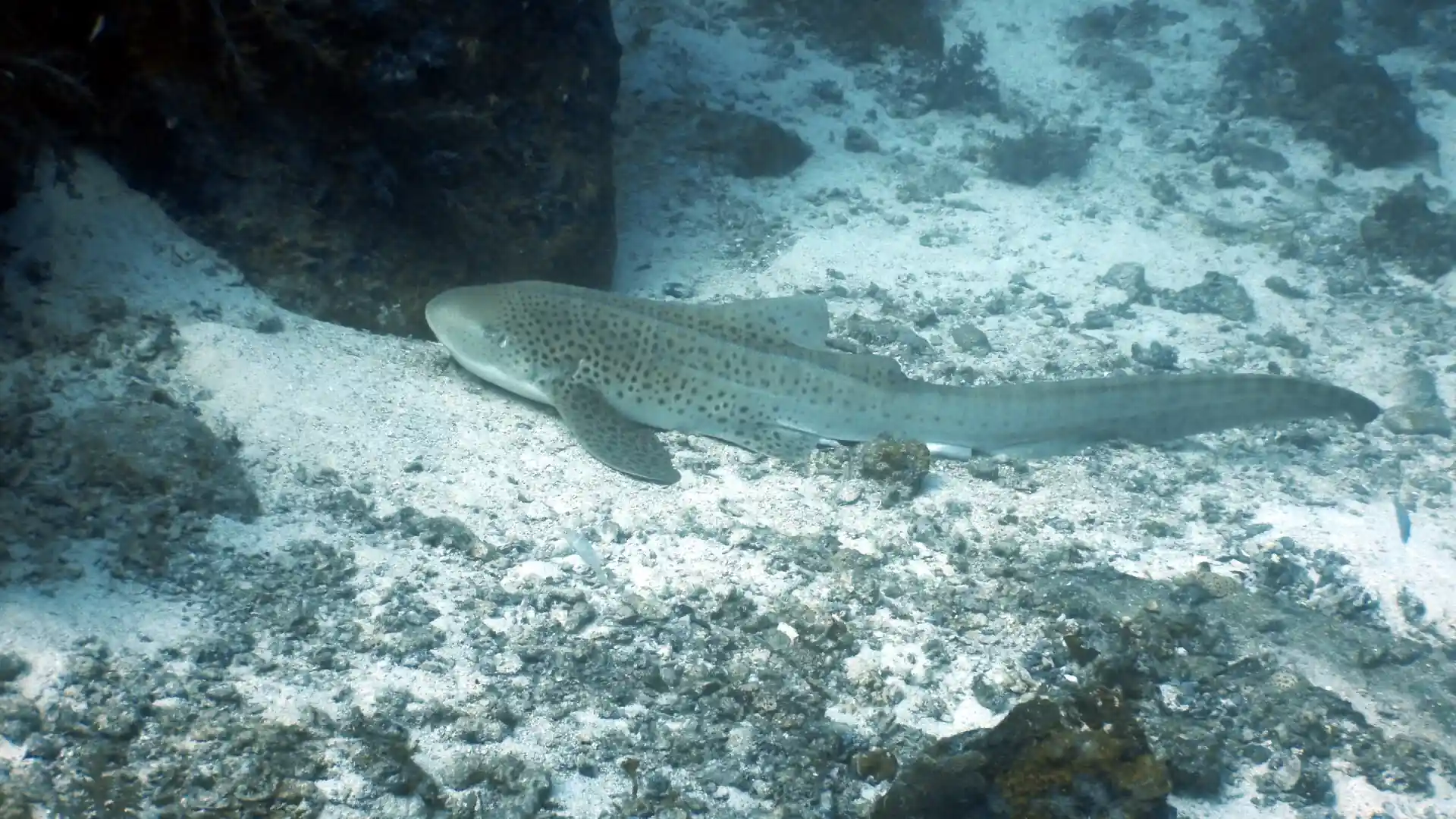 Foto des Tauchplatzes