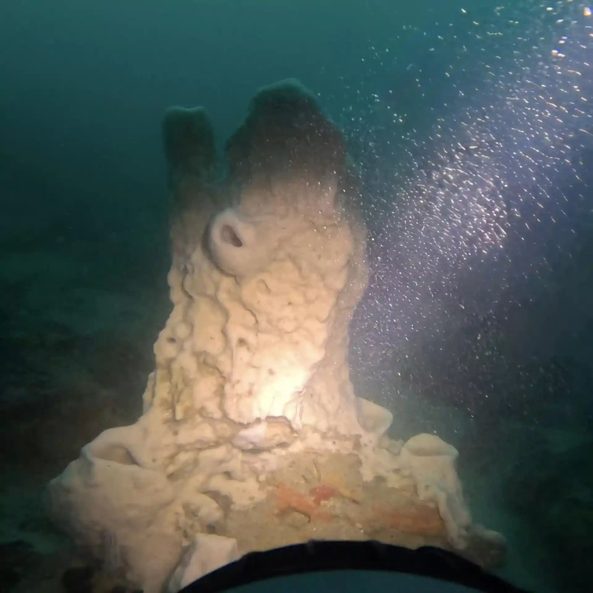 Dive site photo