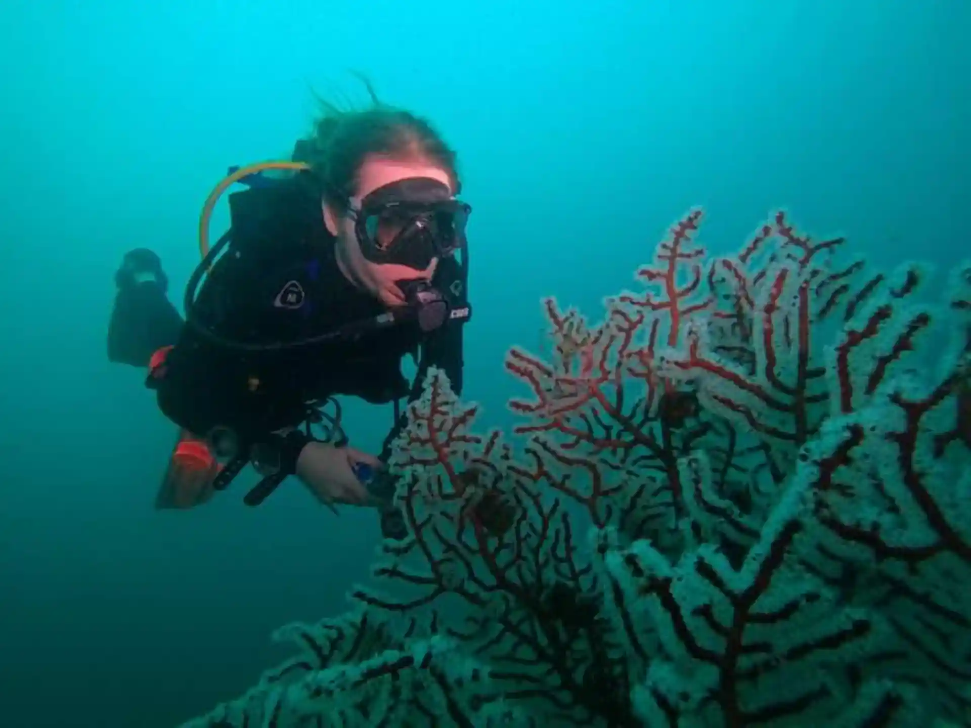 Dive shop photo