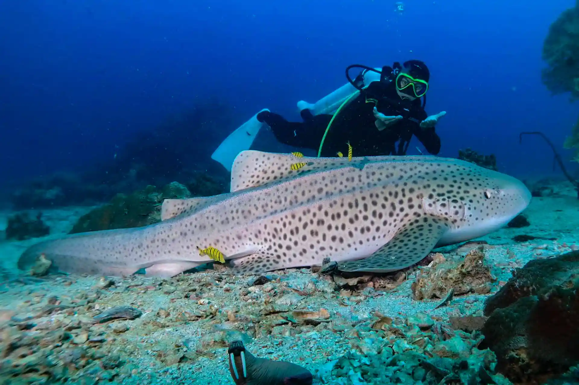 Foto des Tauchplatzes