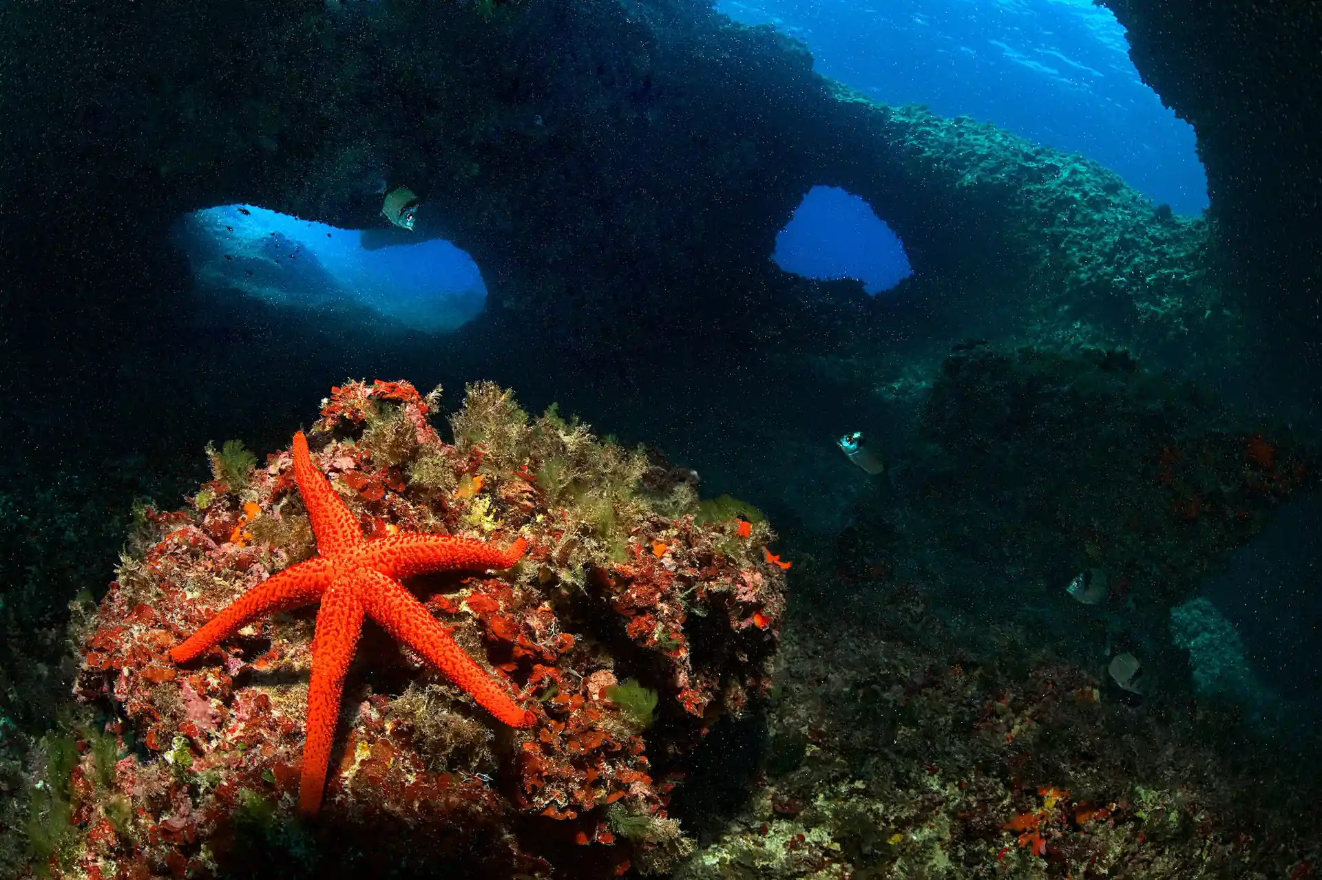 Photo du site de plongée