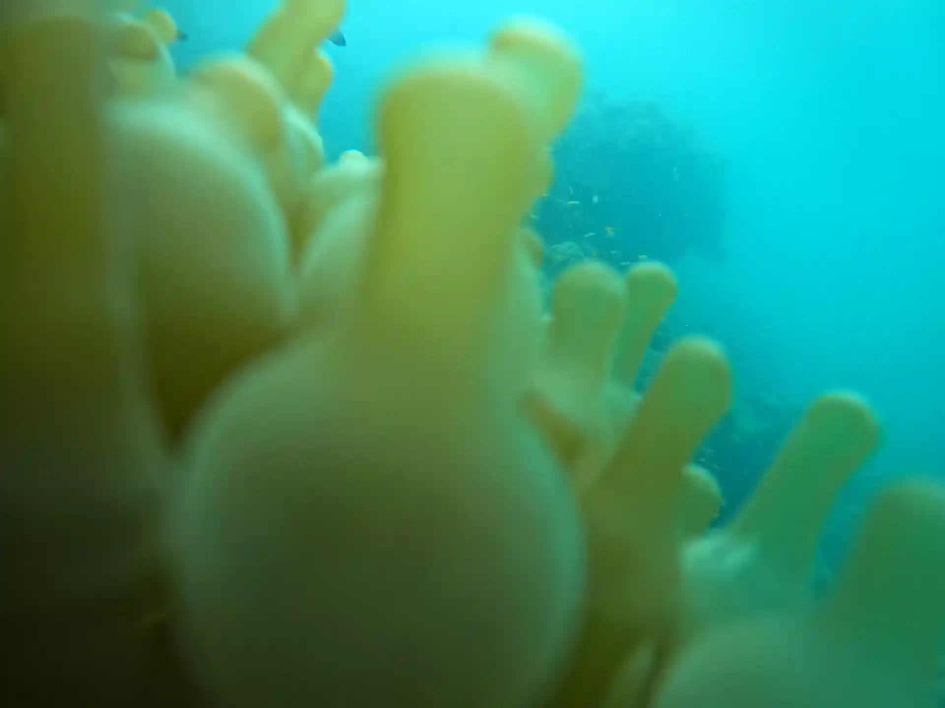 Foto del sitio de buceo